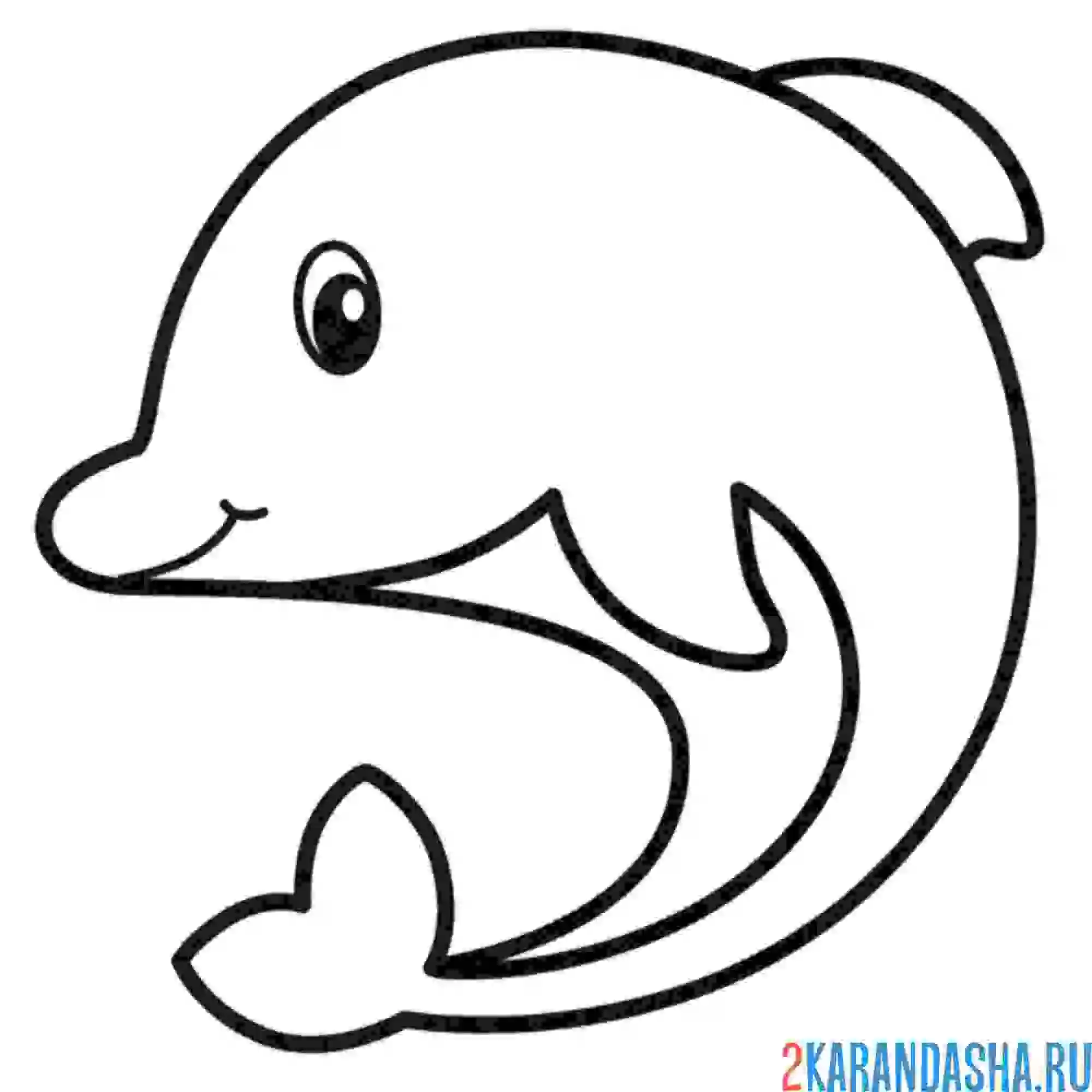 Раскраска маленький дельфин