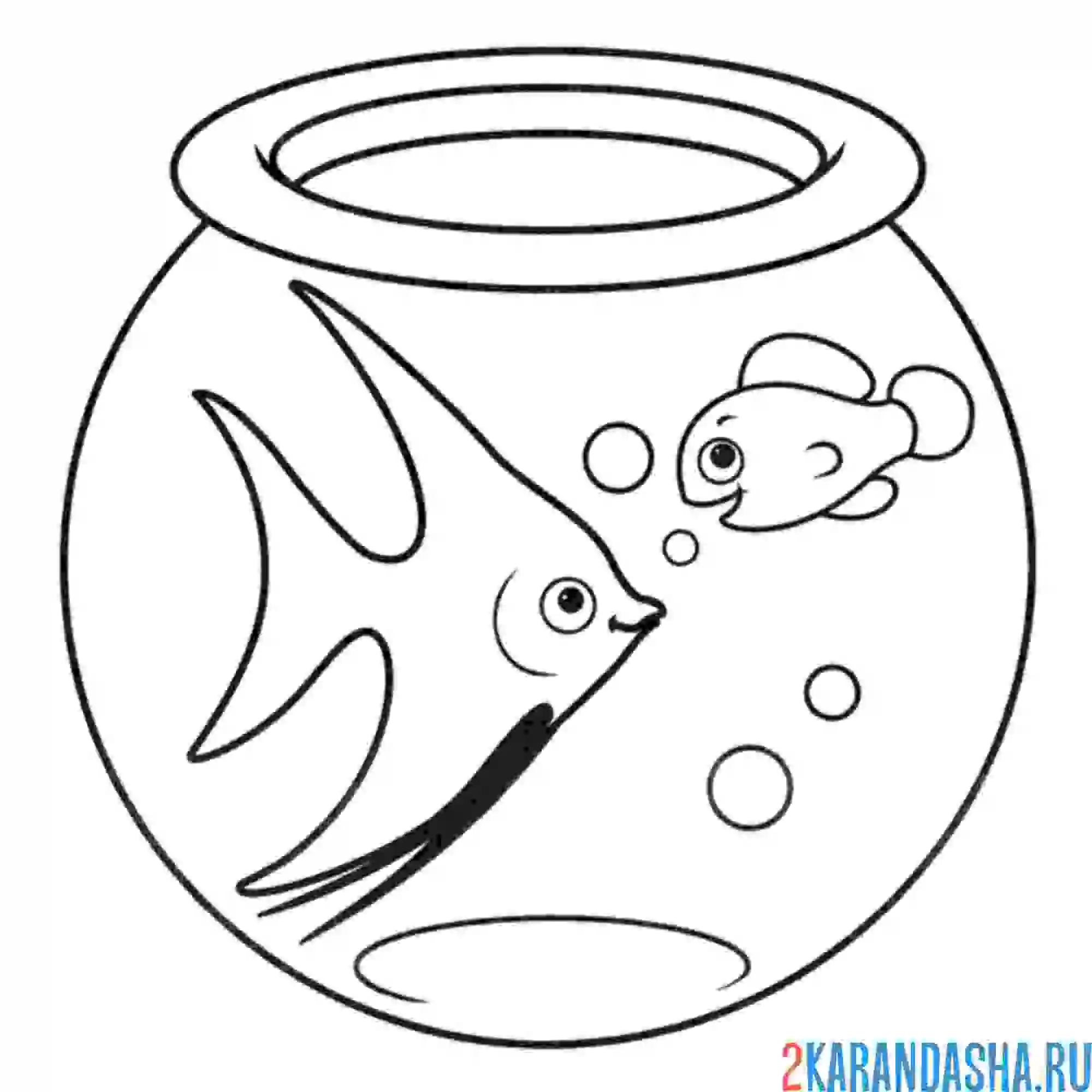 Раскраска две рыбки в аквариуме