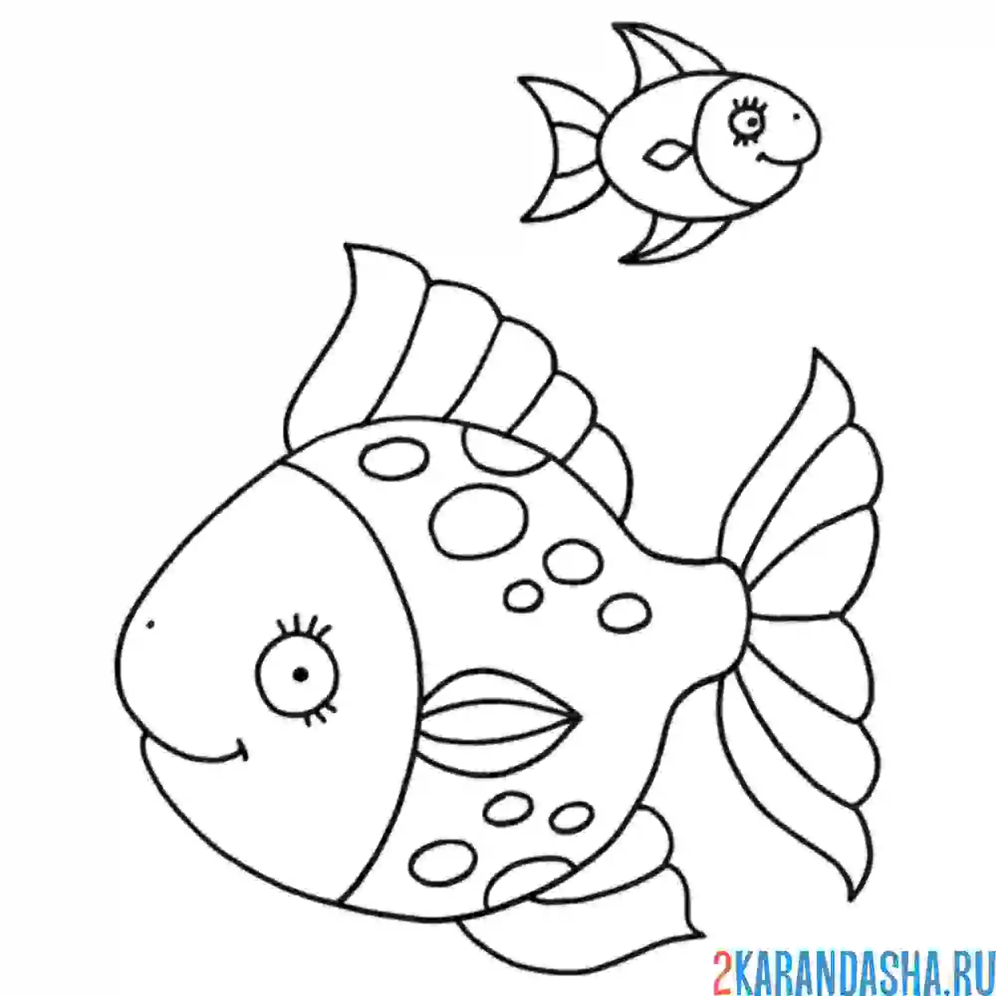 Раскраска две морских рыбки плывут