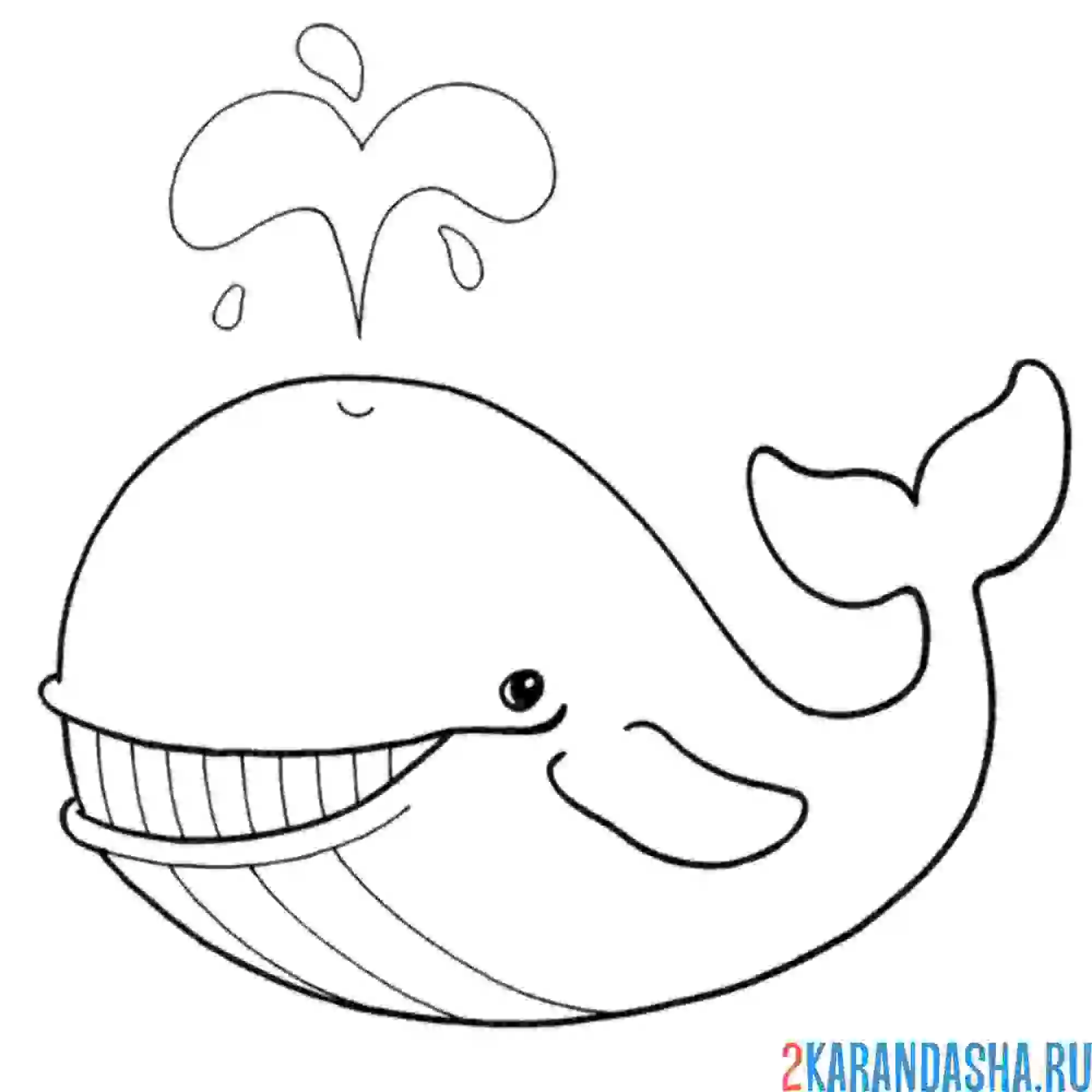 Раскраска кит с фонтаном