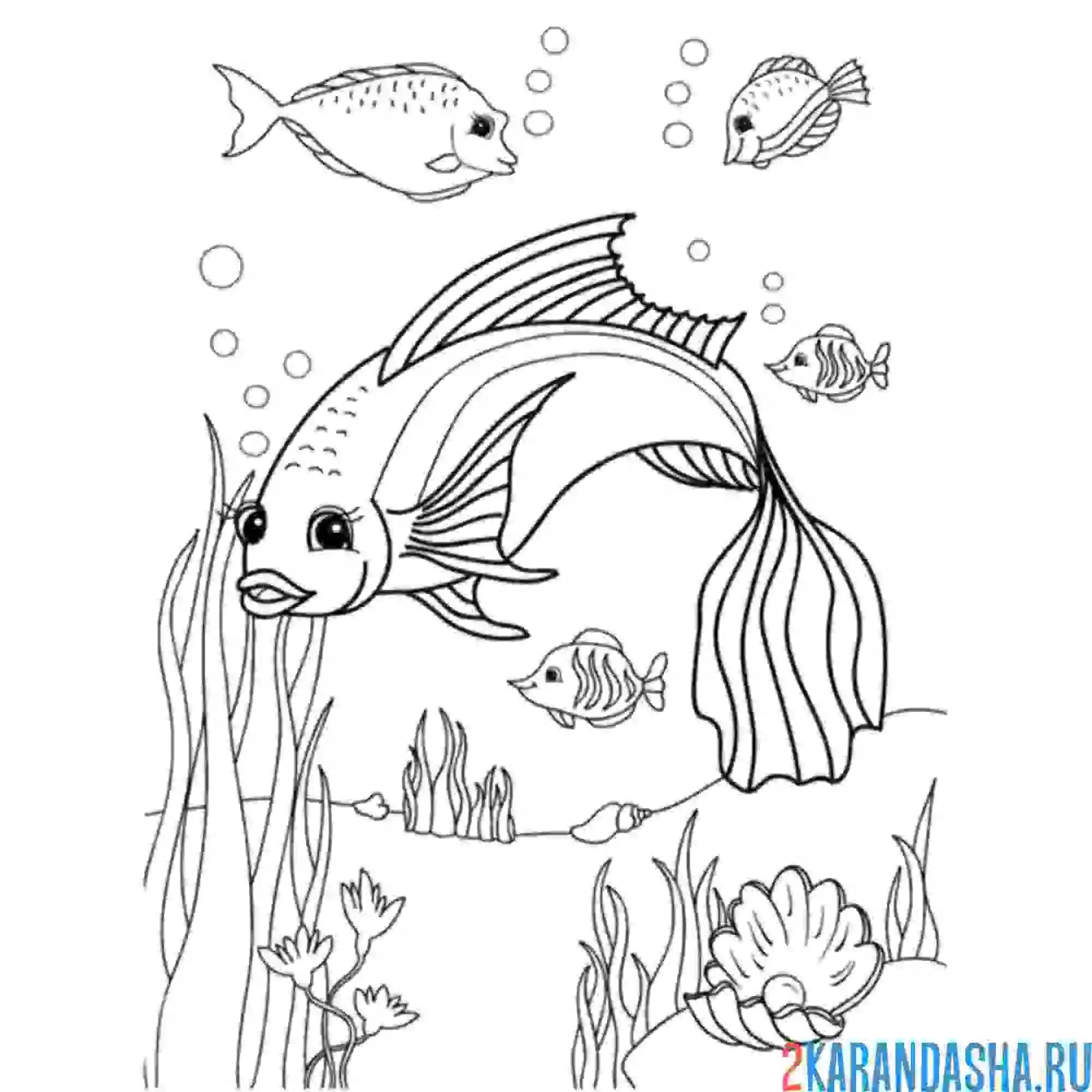 Раскраска рыба под водой