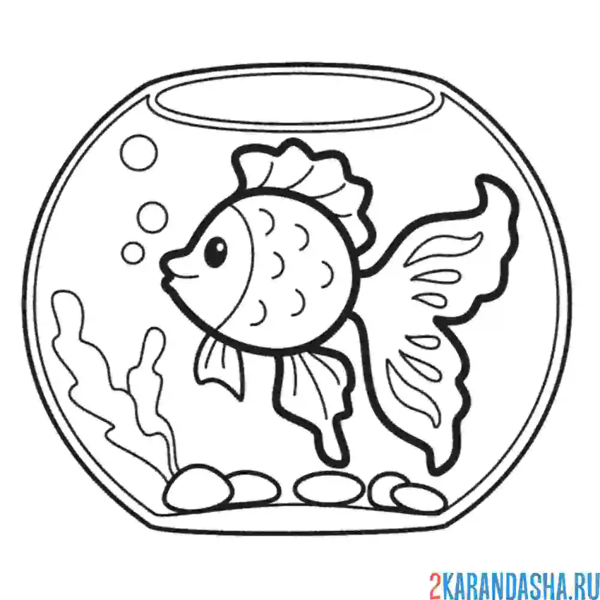 Раскраска золотая рыбка в аквариуме