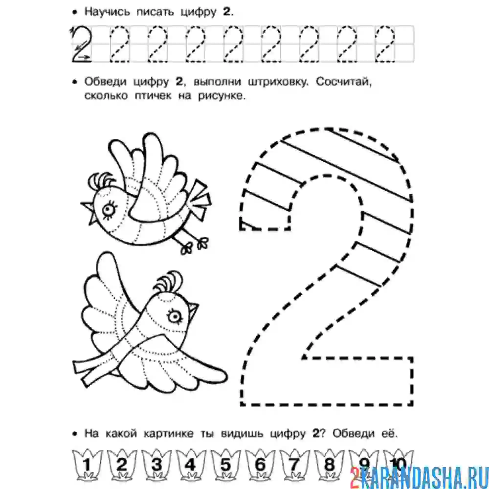 Раскраска обведи и закрась цифру 2