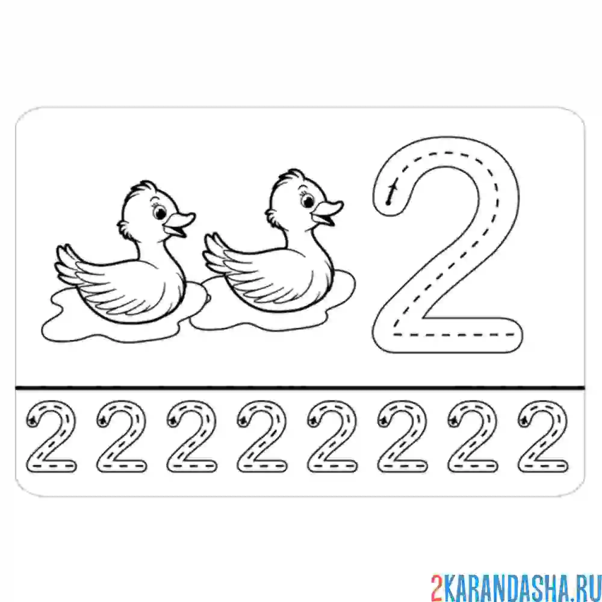 Раскраска сколько уточек на картинки пропись цифра 2