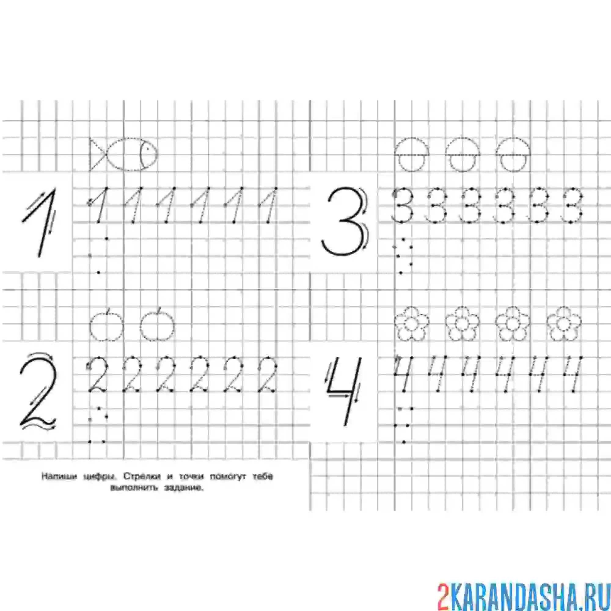 Раскраска пропись цифры 1 2 3 4 школа