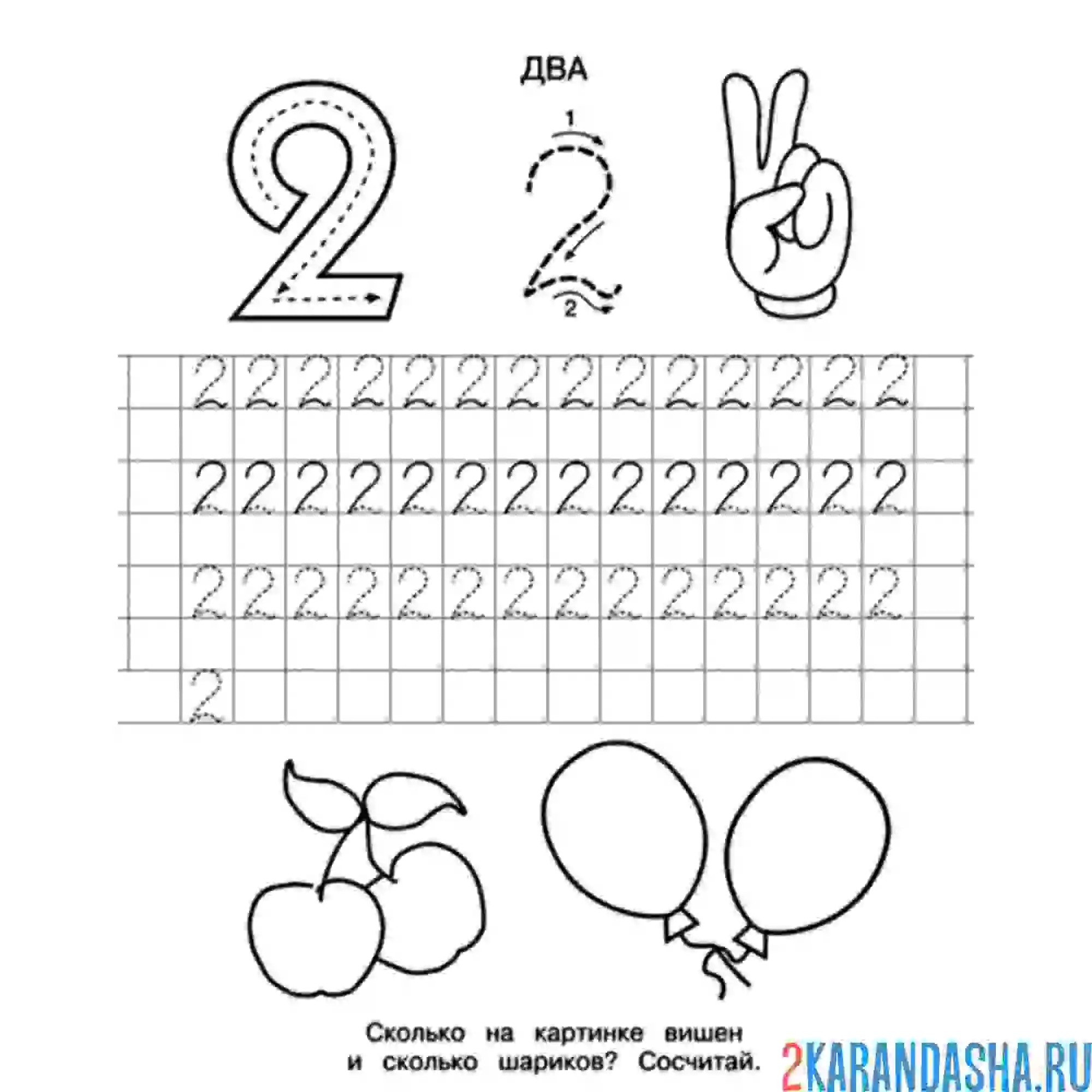 Раскраска цифра 2 пропись дошкольника