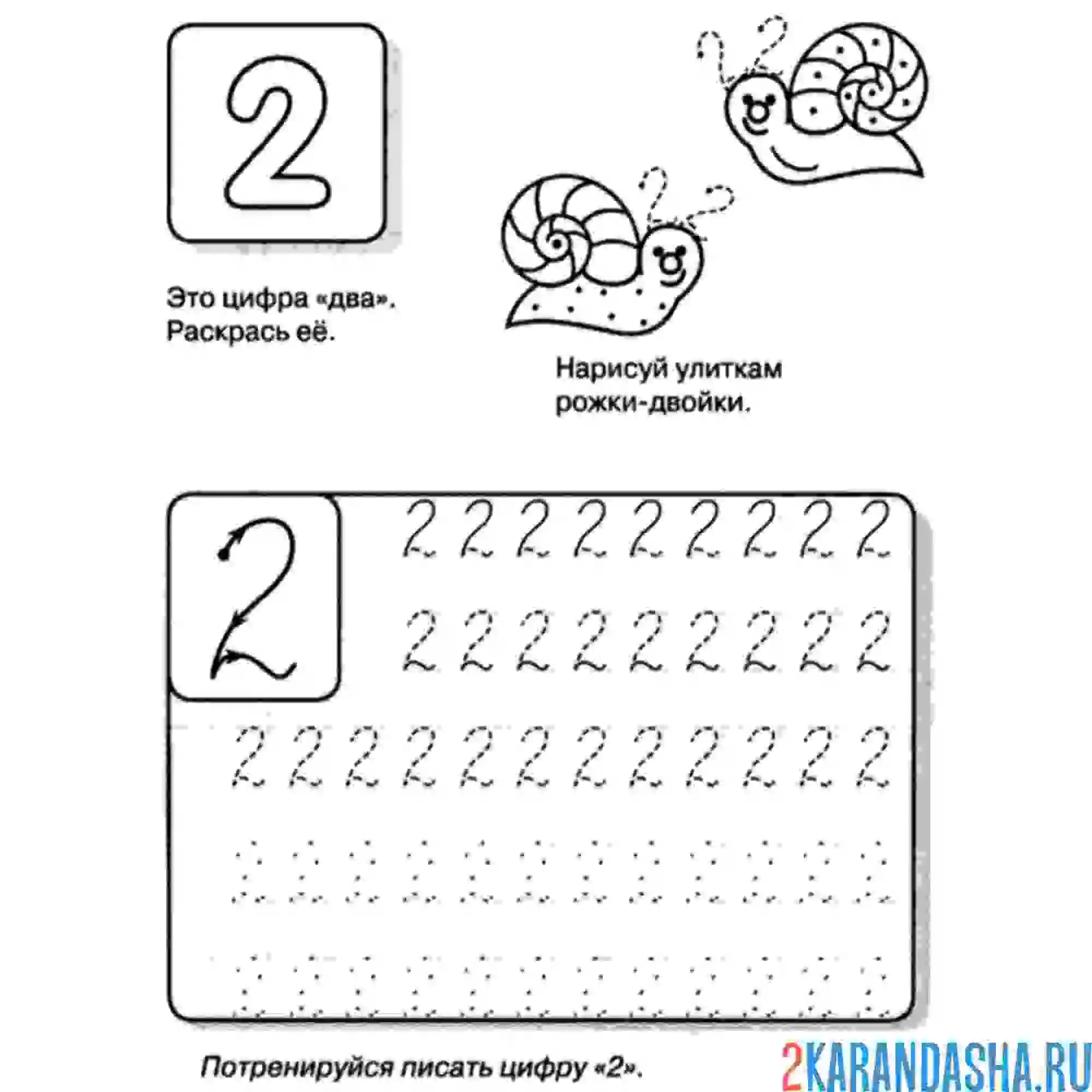 Раскраска цифра 2 учимся писать правильно