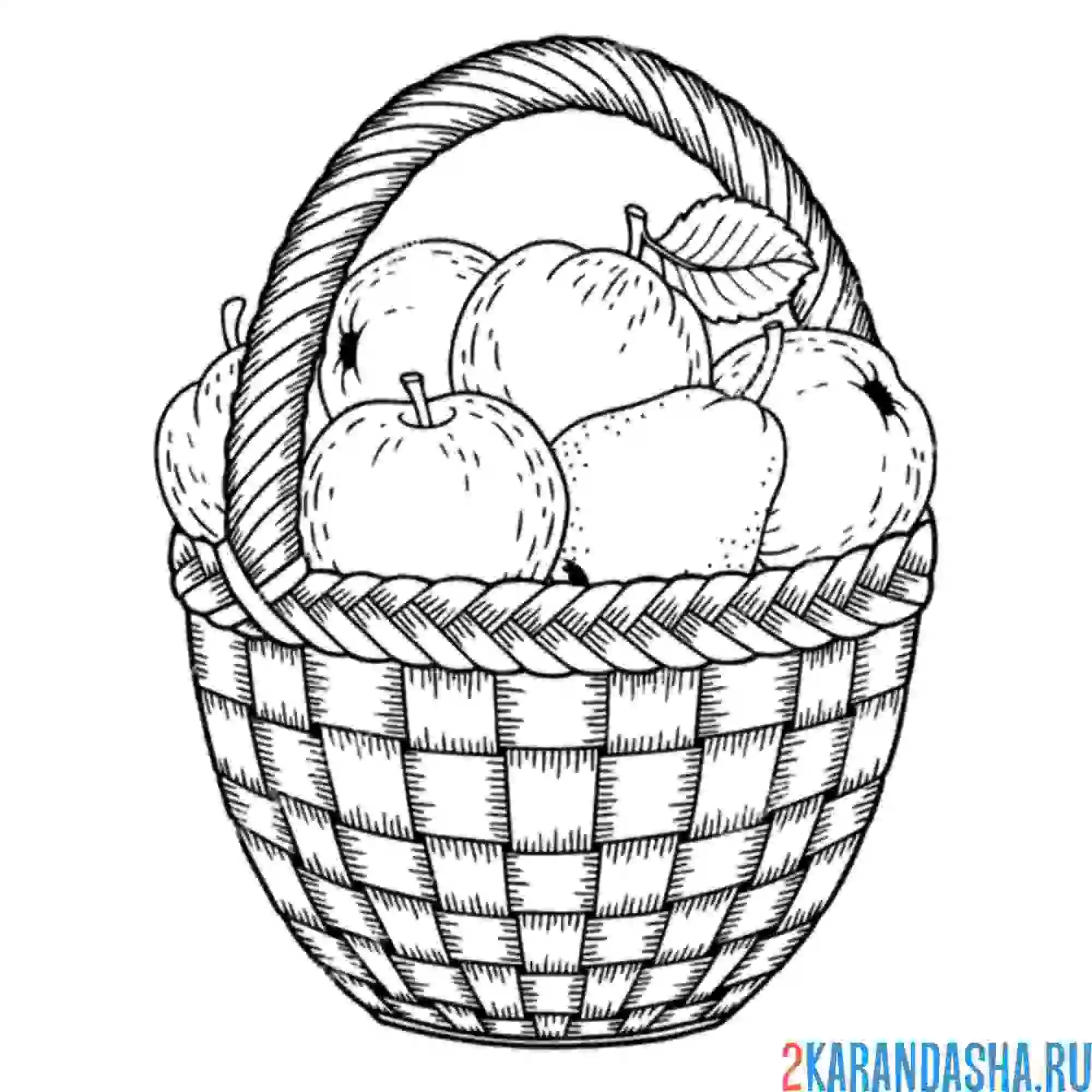 Раскраска корзинка с яблоками