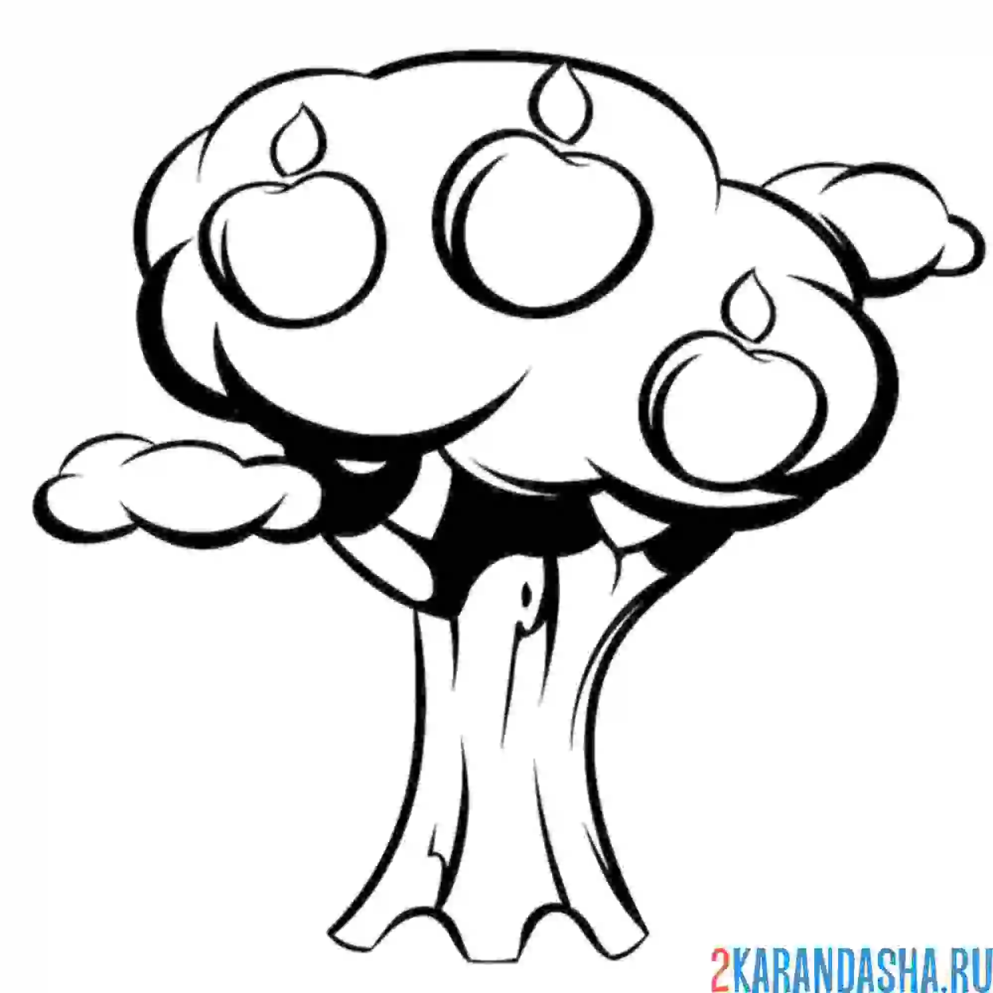 Раскраска яблоня с большими яблоками