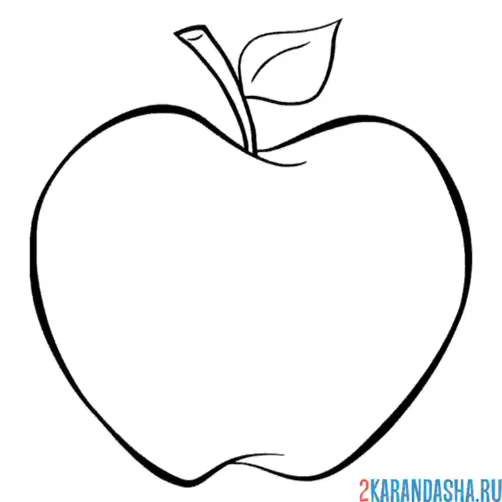Раскраска свежее яблочко