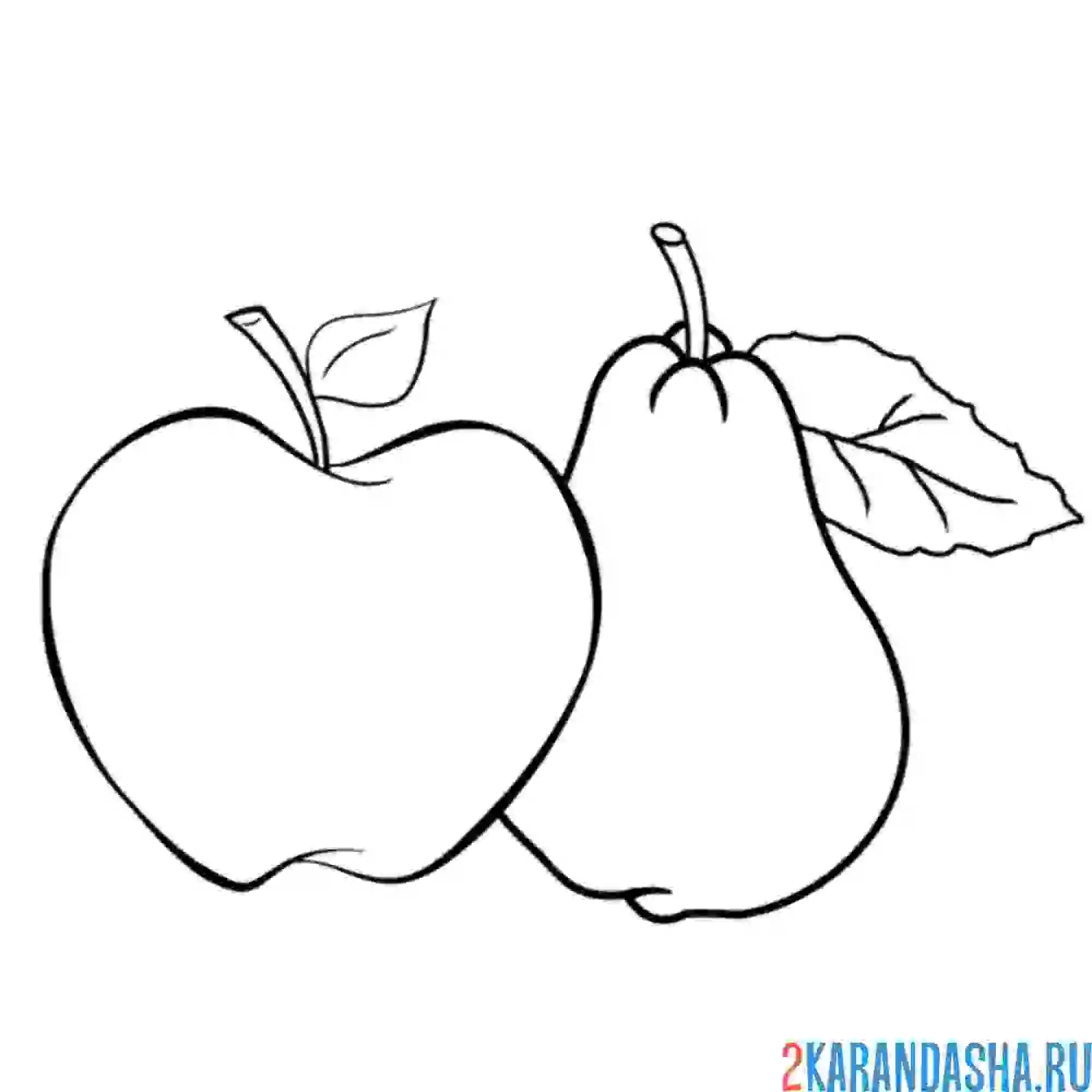 Раскраска яблоко и груша