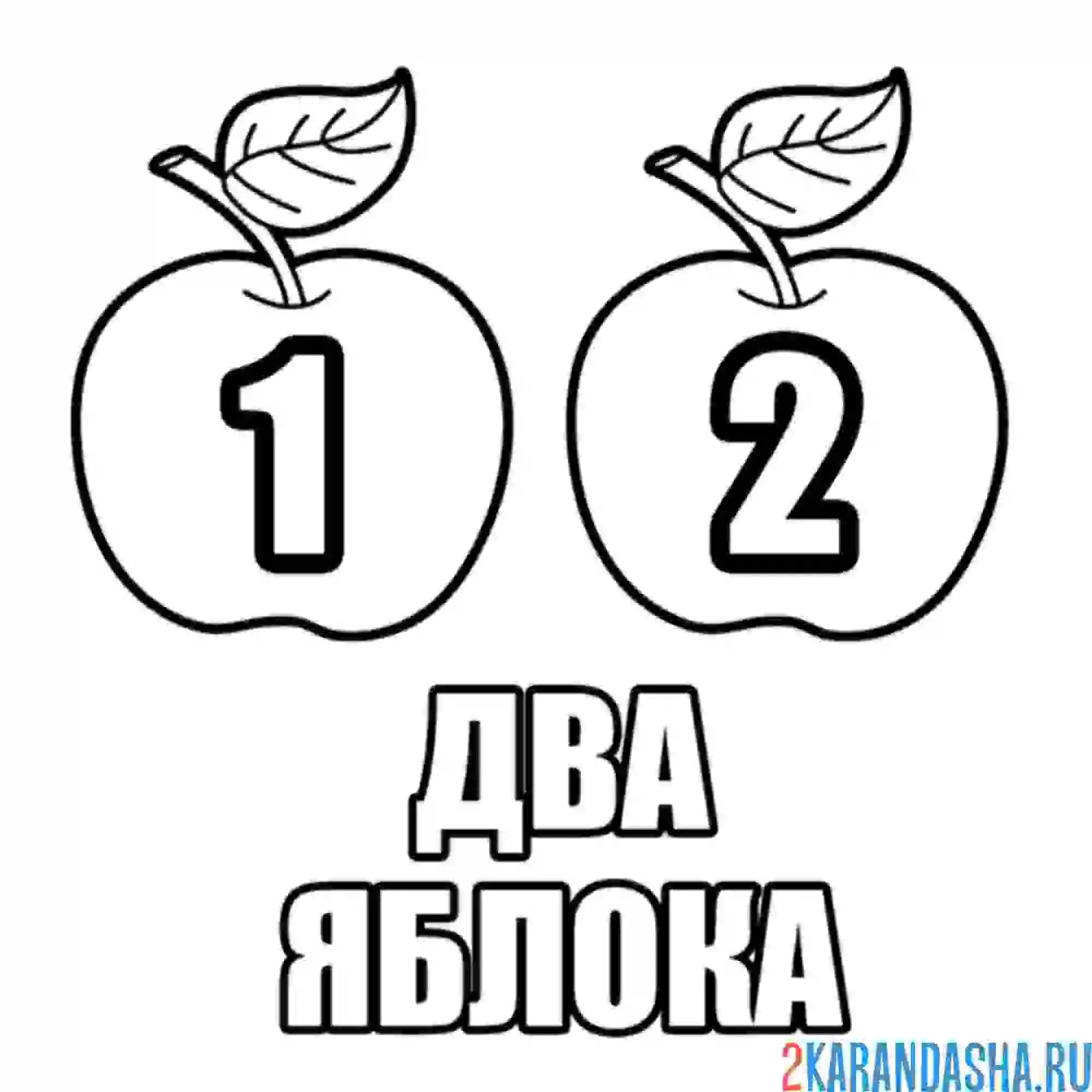 Раскраска два яблока учимся считать