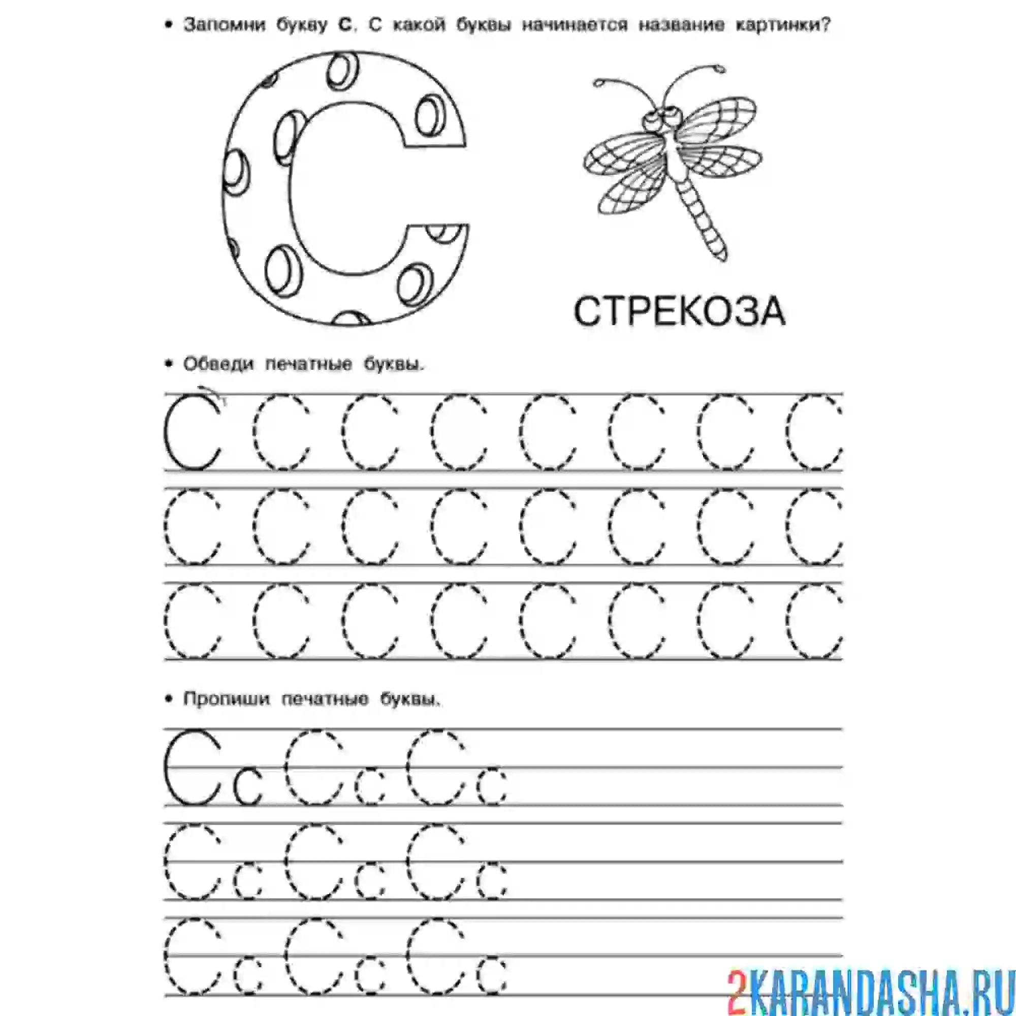 Раскраска печатная буква с пропись