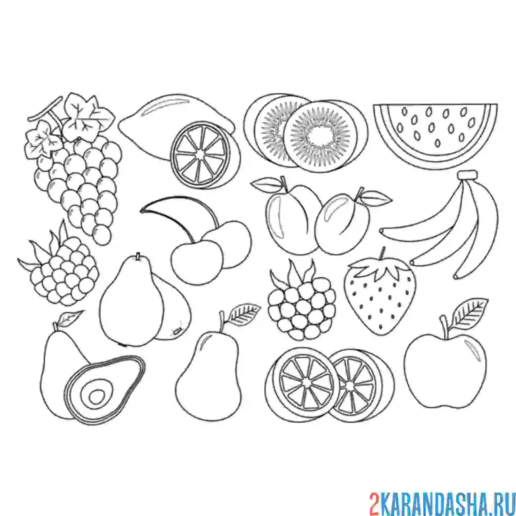 Раскраска фрукты с грушой