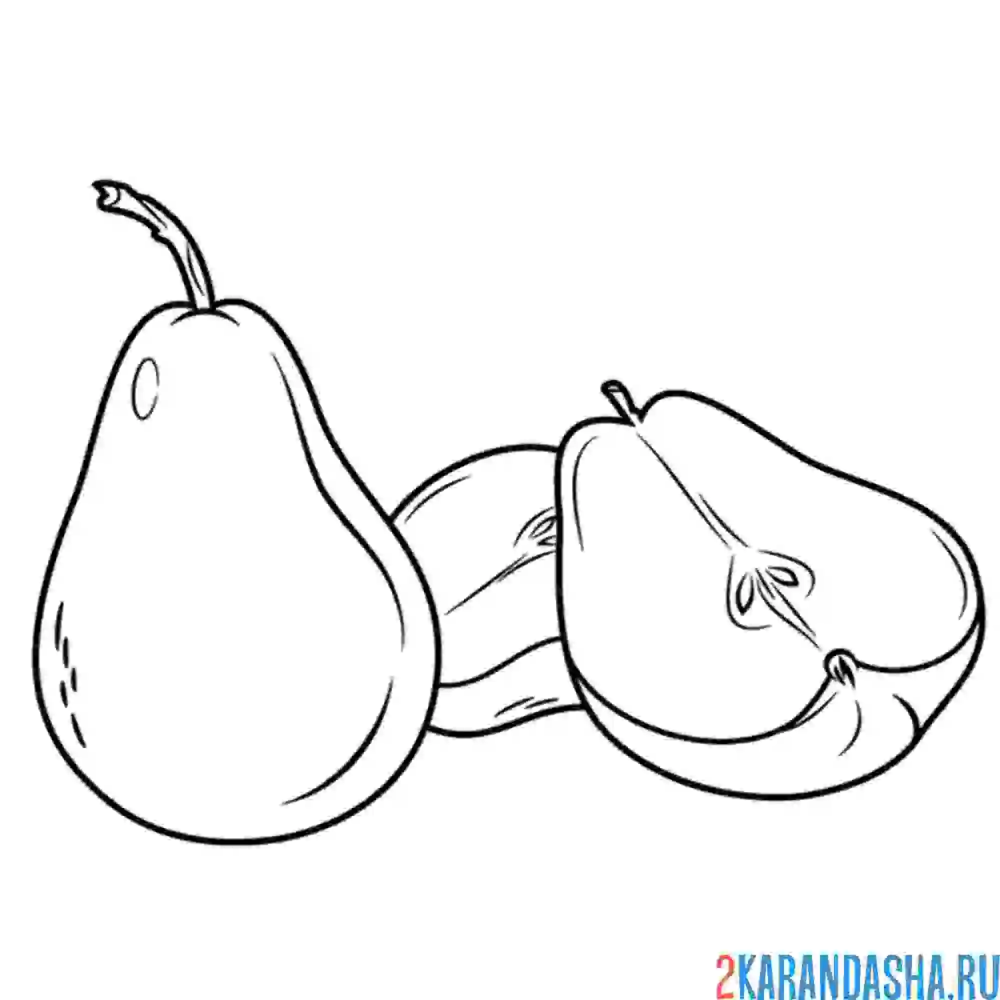 Раскраска груша в разрезе
