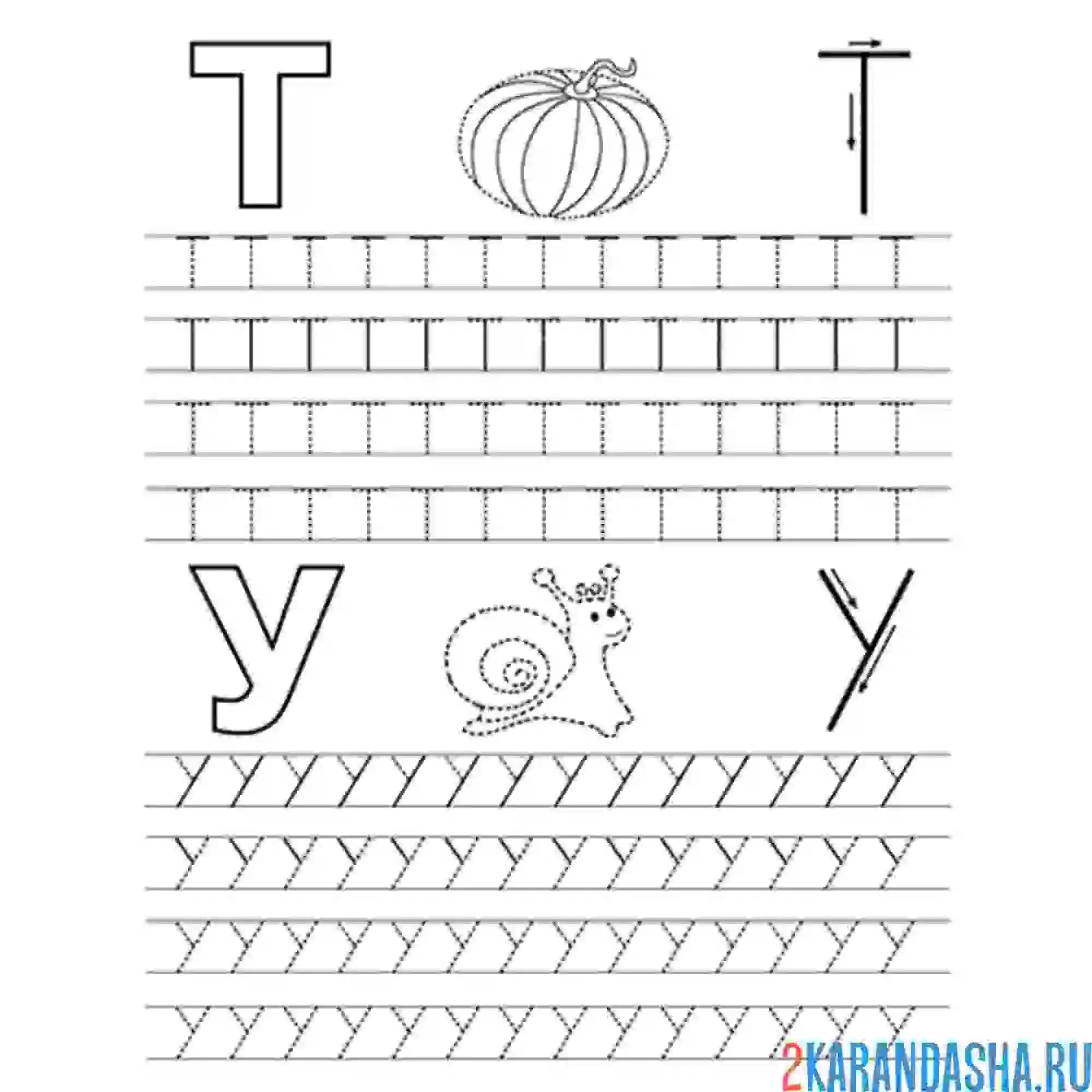 Раскраска буквы т у пропись
