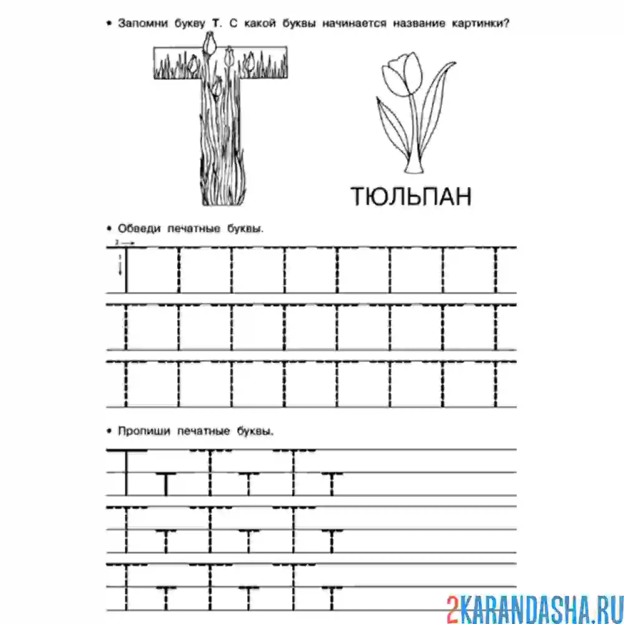 Раскраска печатная буква т большая и маленькая