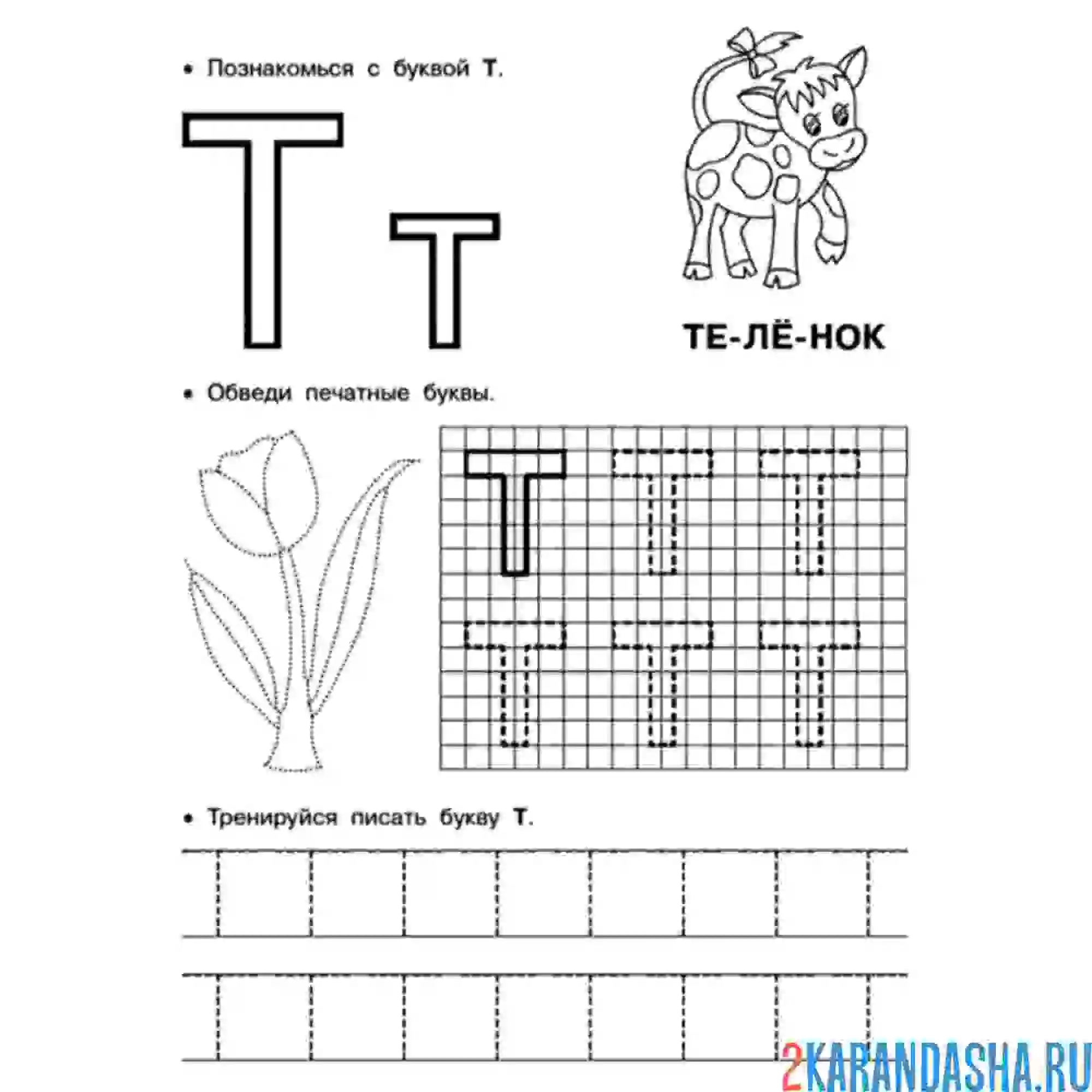 Раскраска обведи букву т пропись