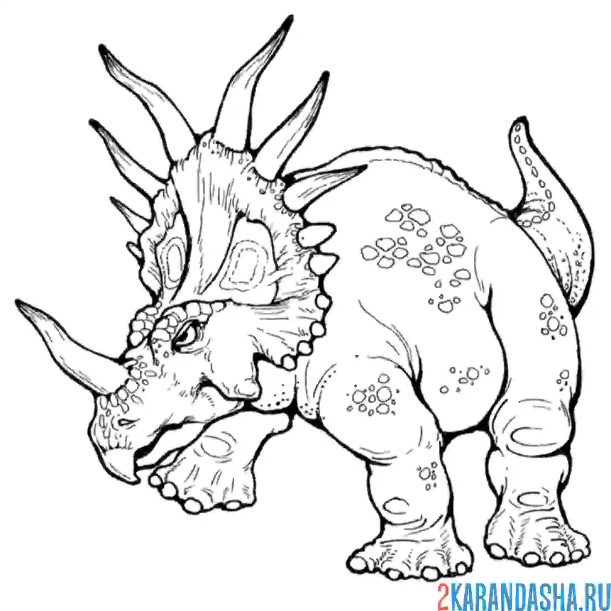 Раскраска динозавр стиракозавр