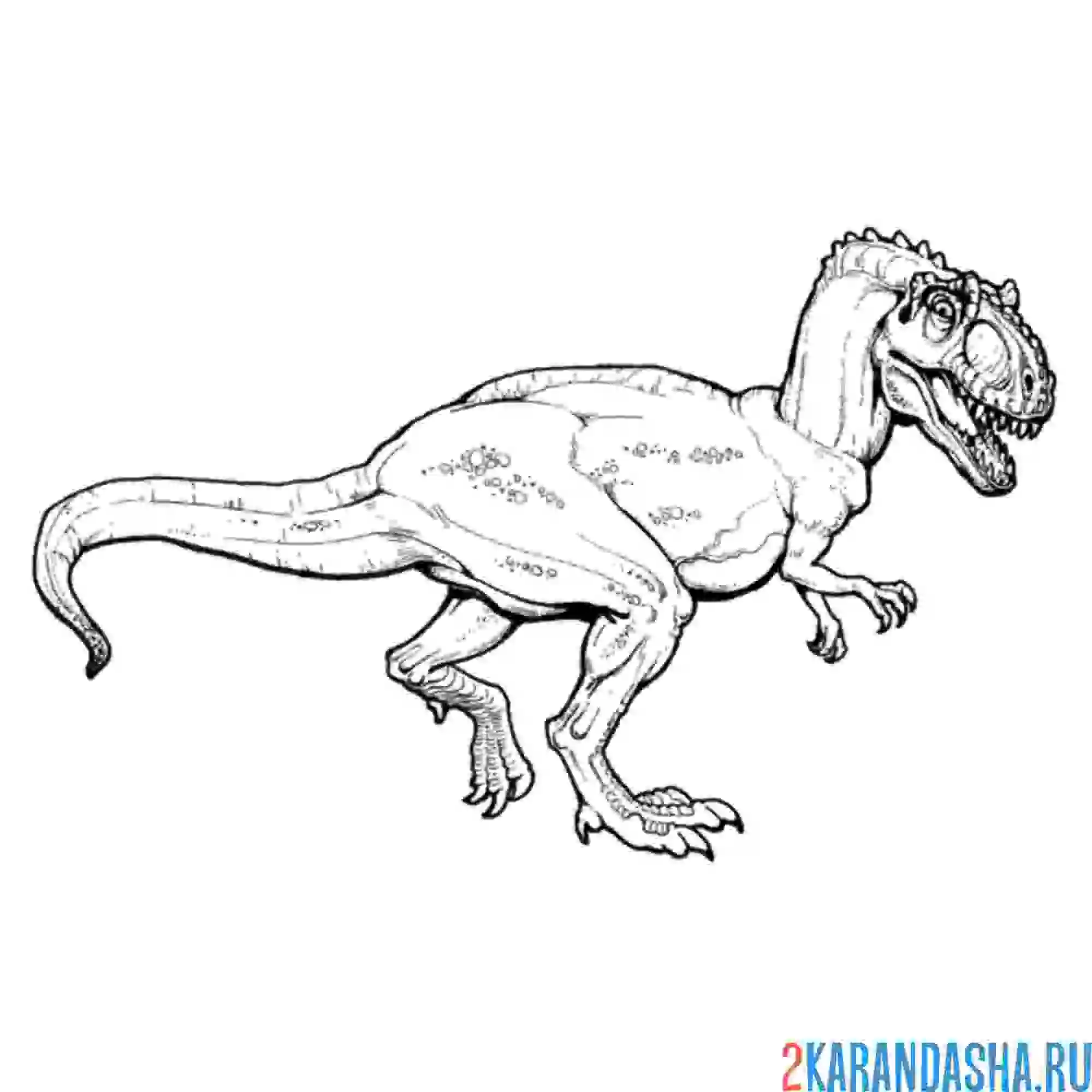 Раскраска аллозавр