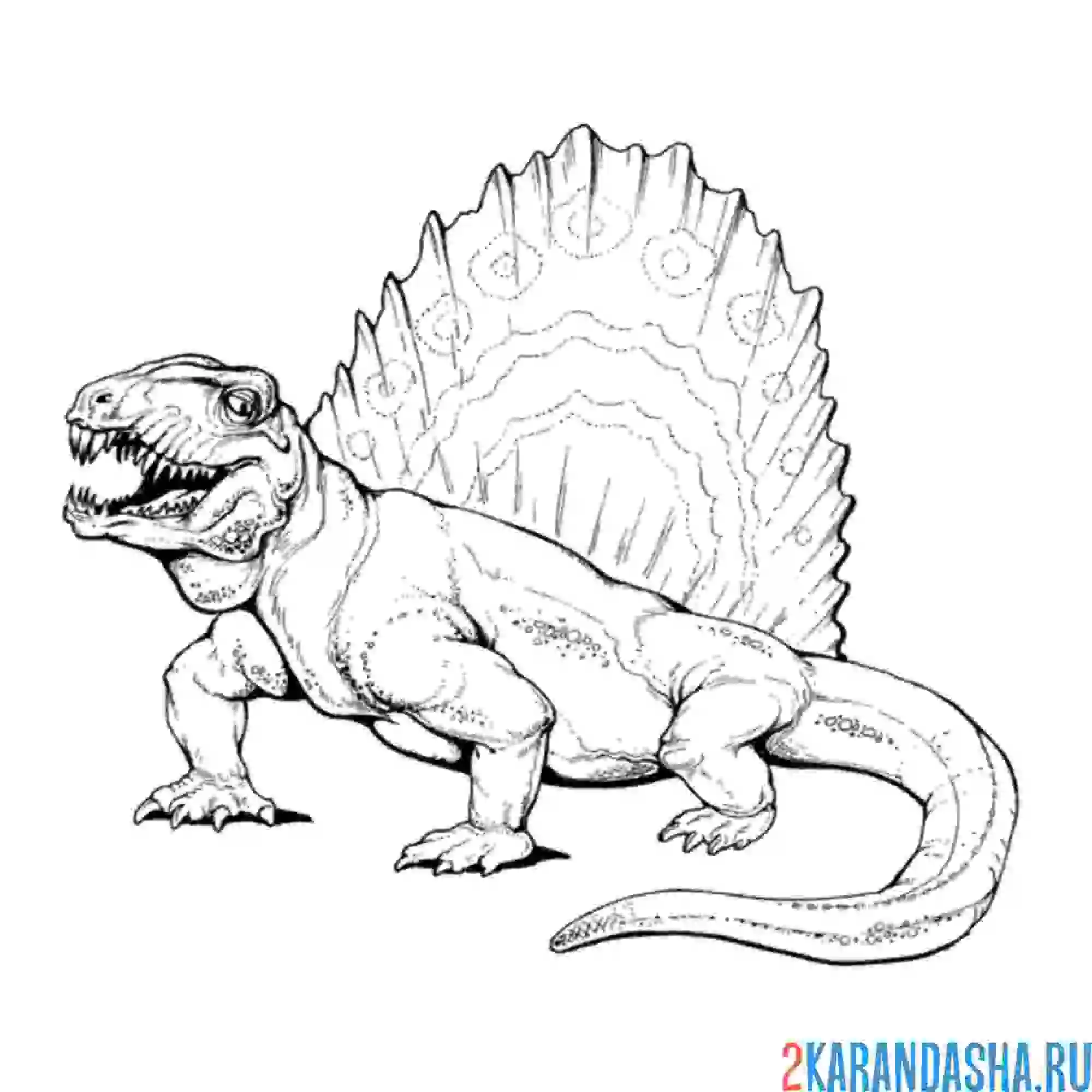 Раскраска диметродон