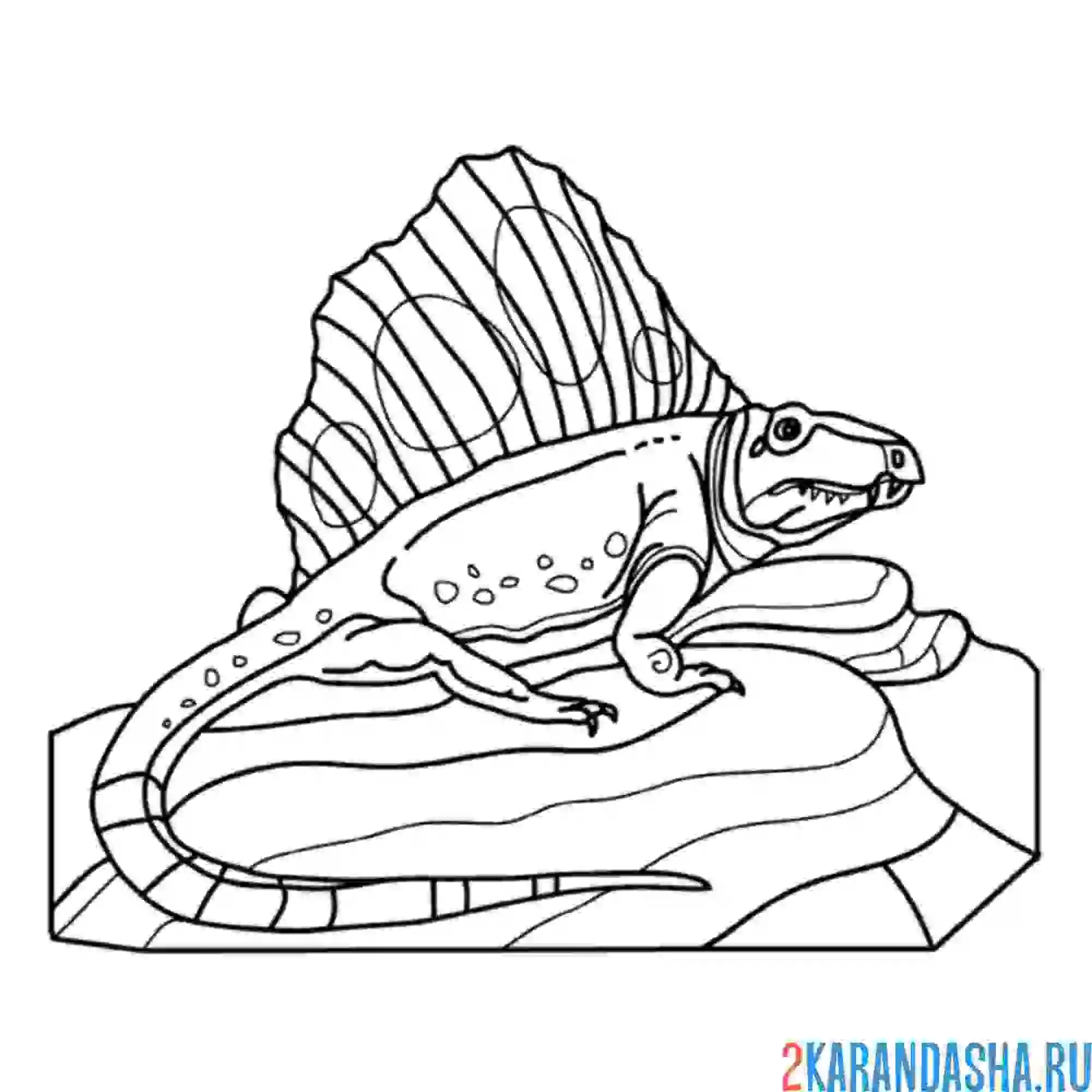 Раскраска диметродон на камне