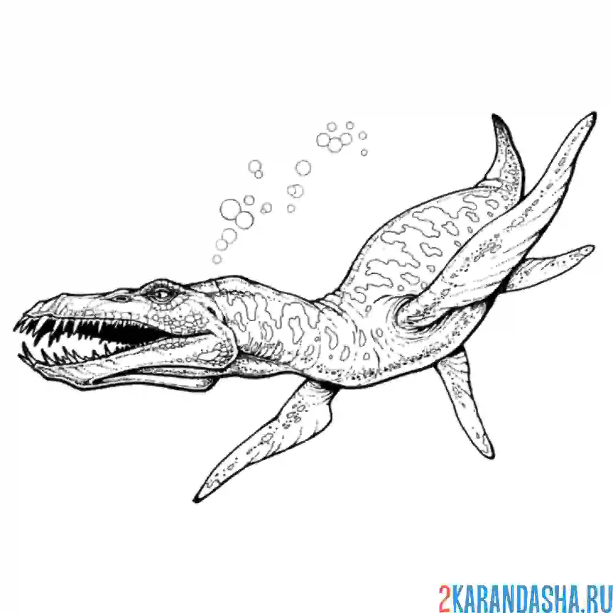 Раскраска лиоплевродон