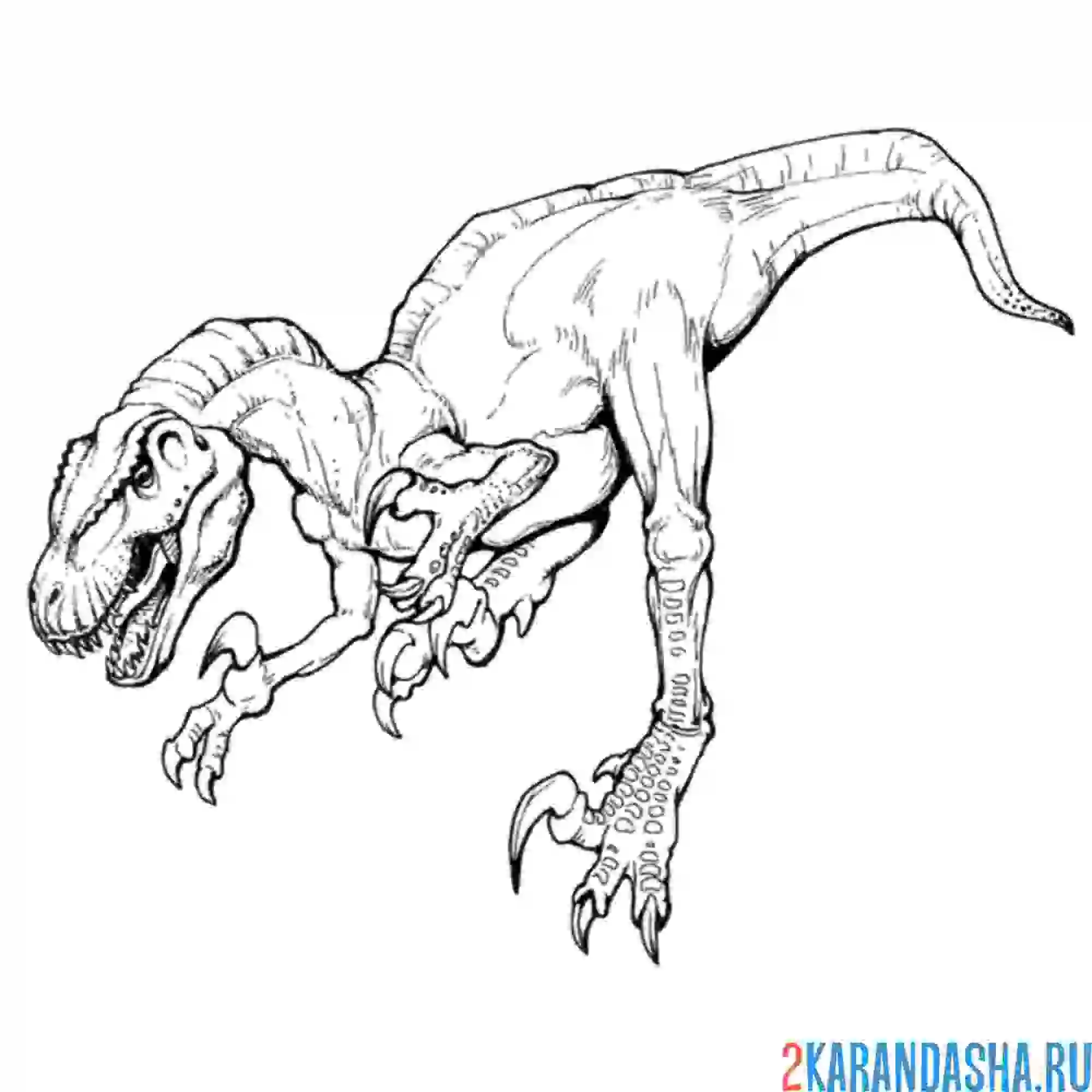 Раскраска мегараптор динозавр