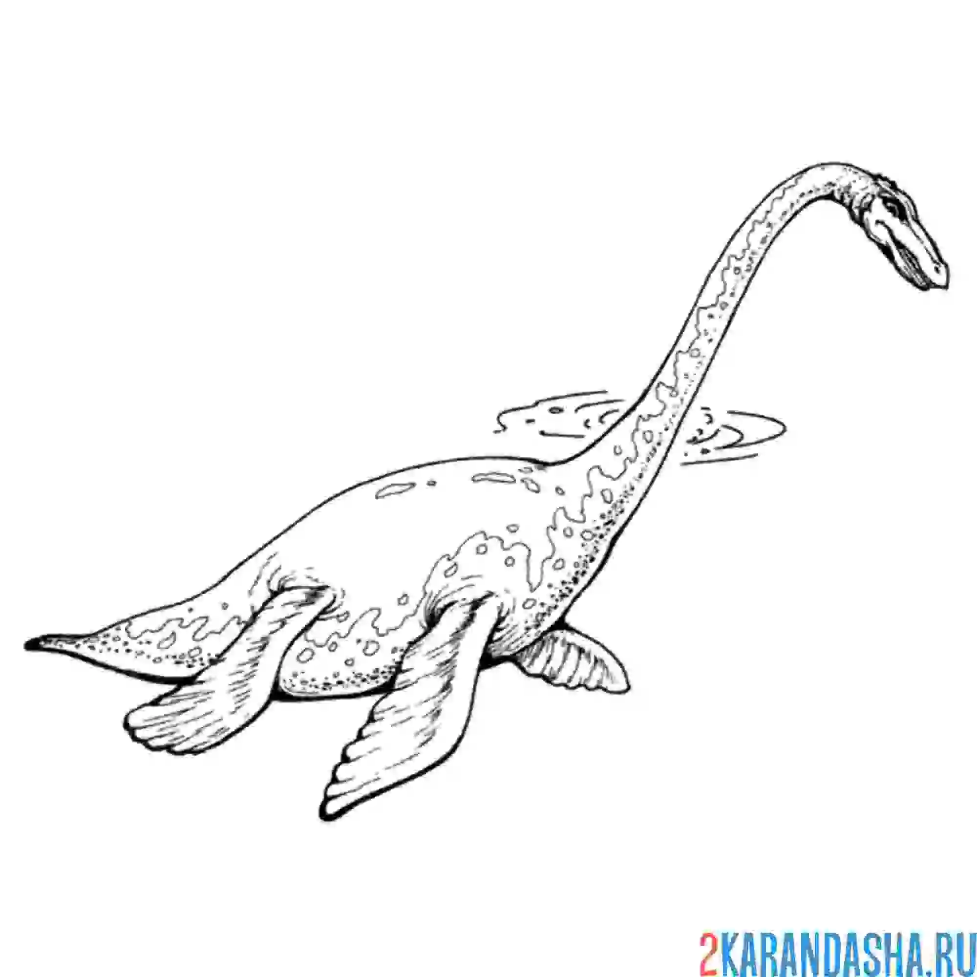 Раскраска плезиозавр динозавр