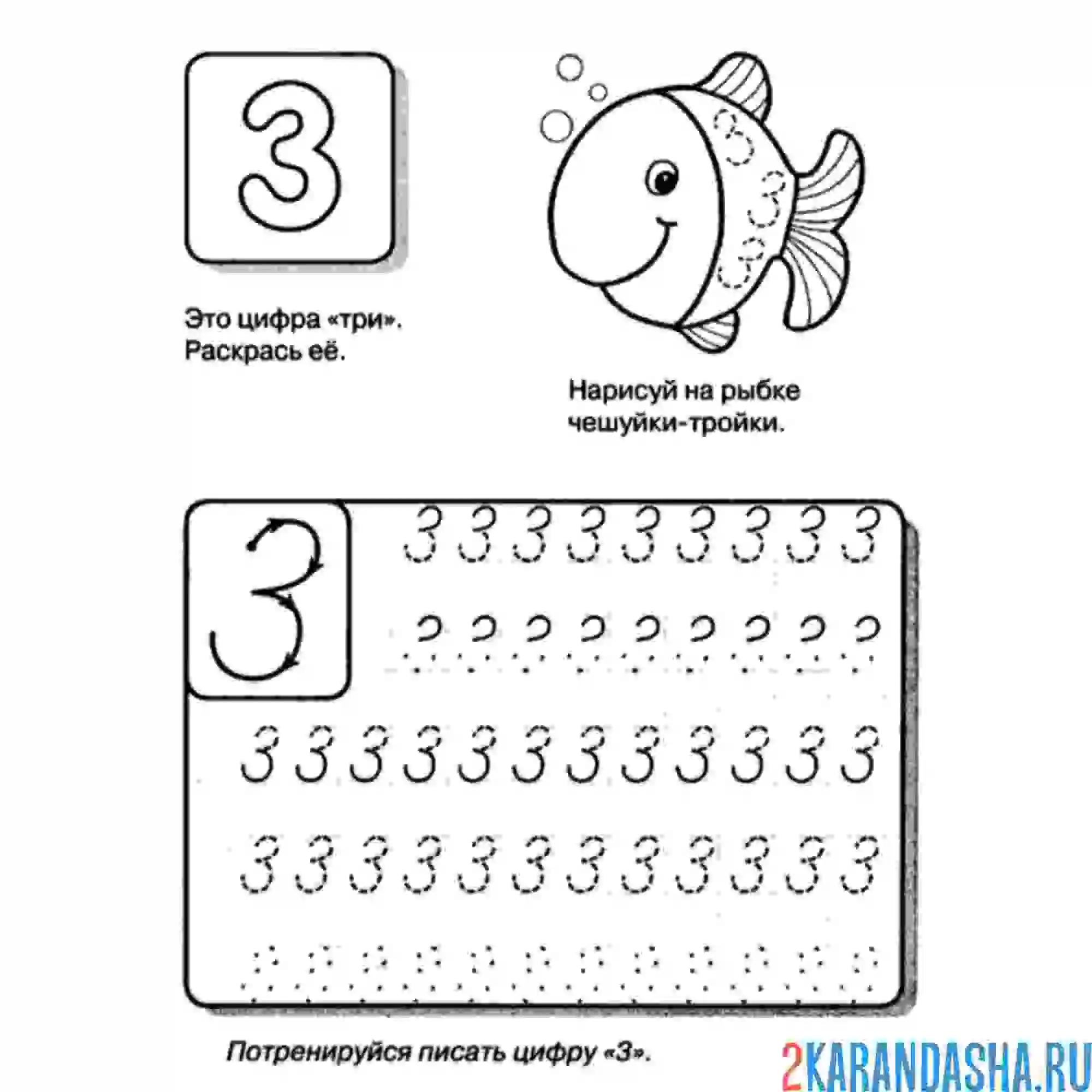 Раскраска пошаговая цифра 3 пропись