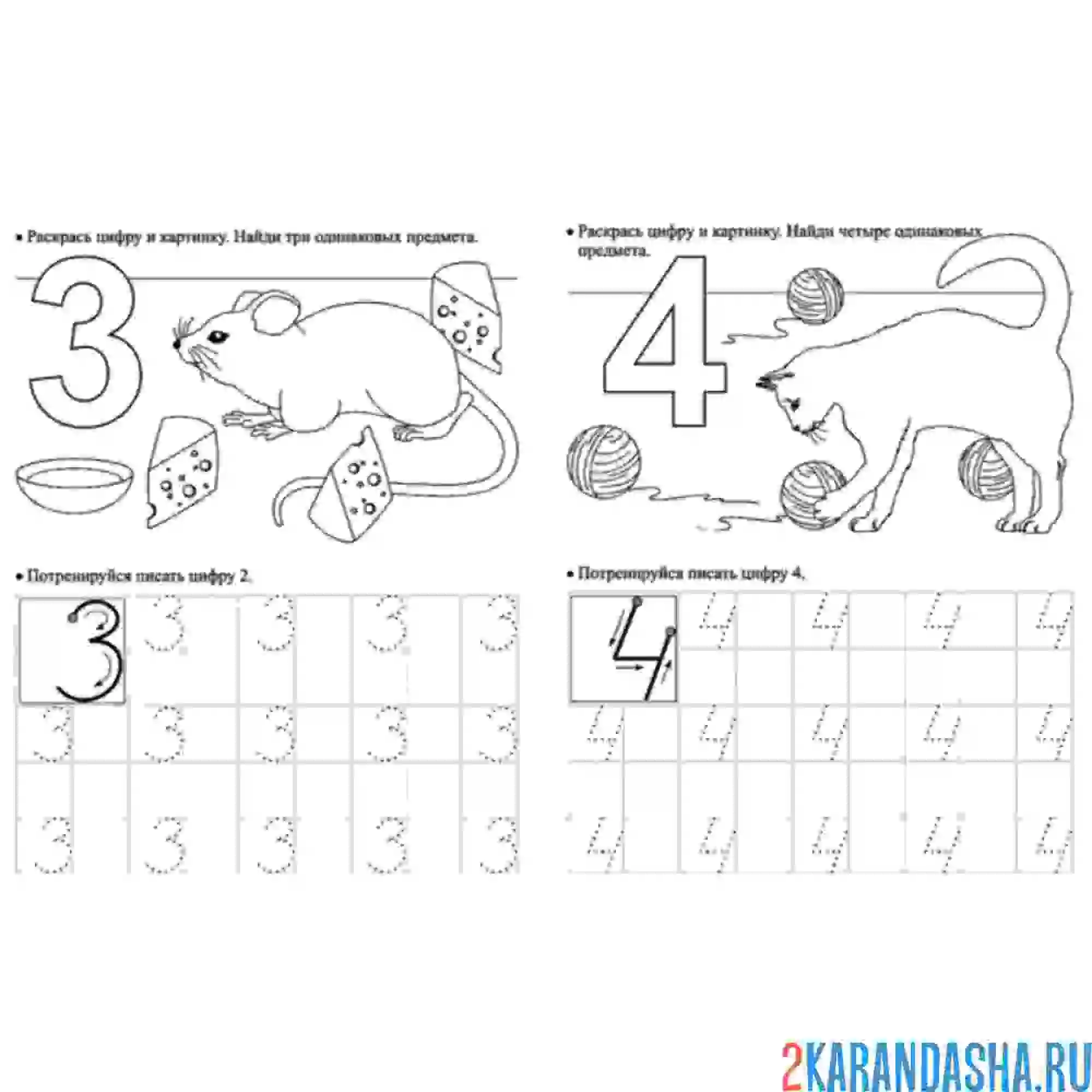 Раскраска пропись цифры 3 и 4 с заданием