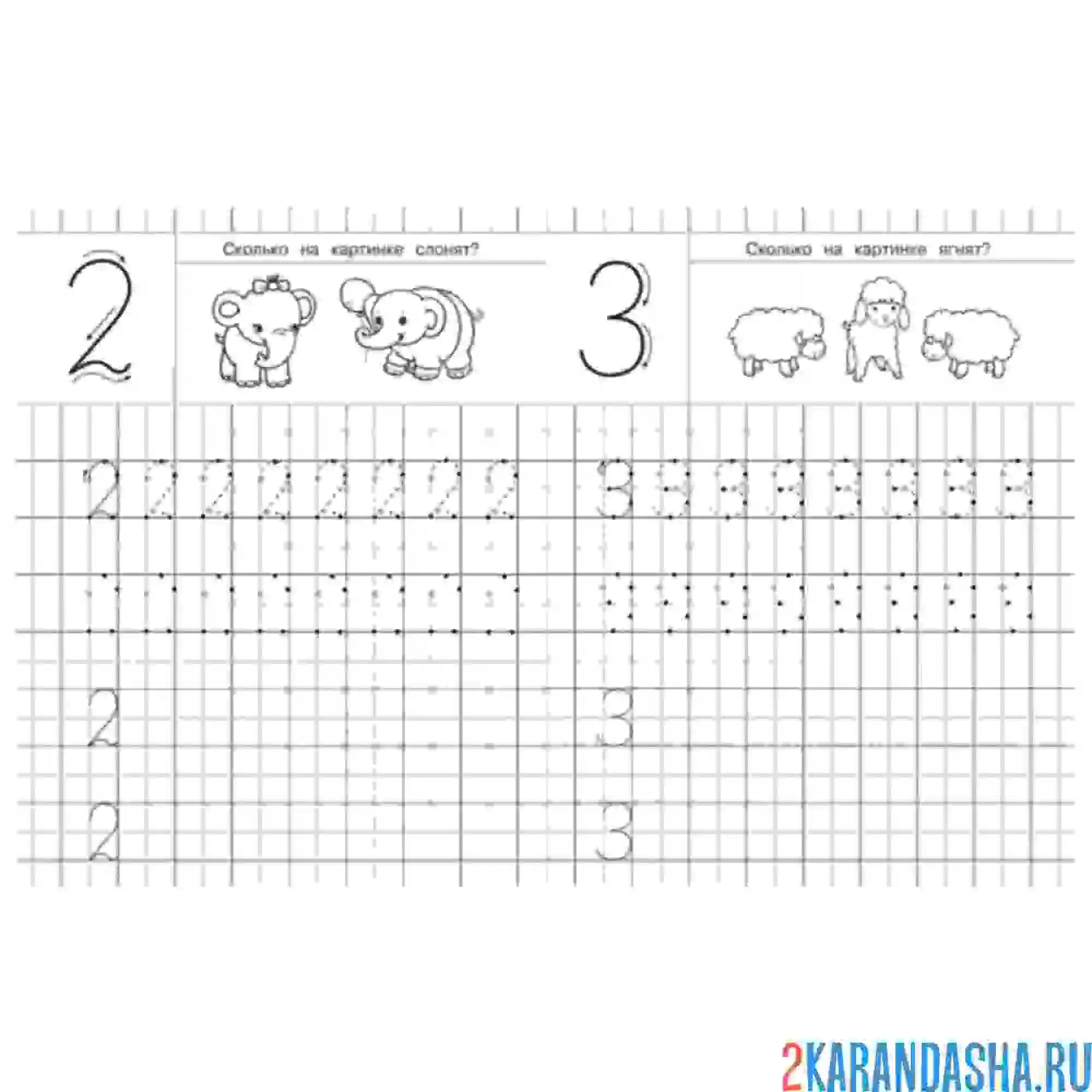 Раскраска цифра 2 3 пропись