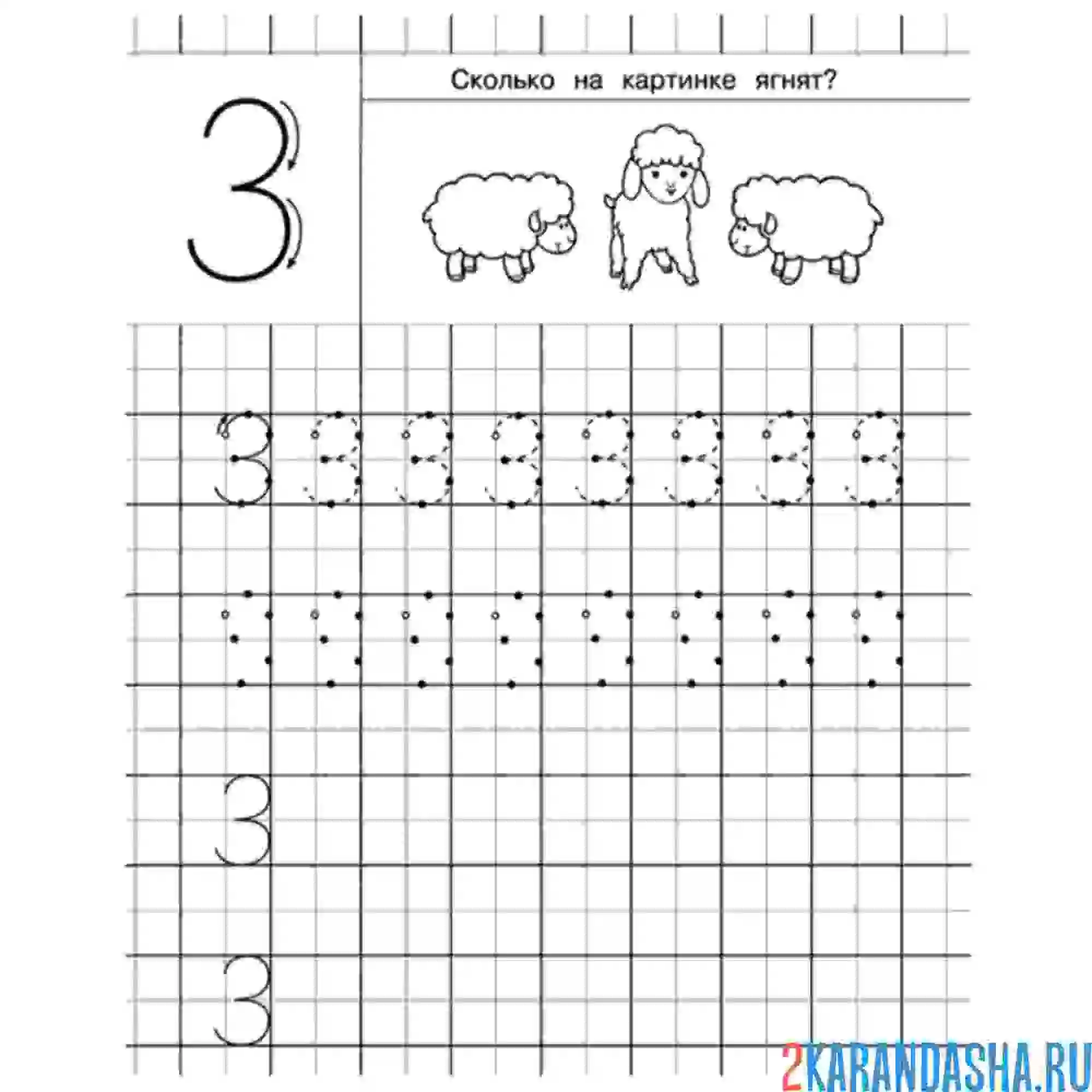 Раскраска выполни задание с цифрой 3