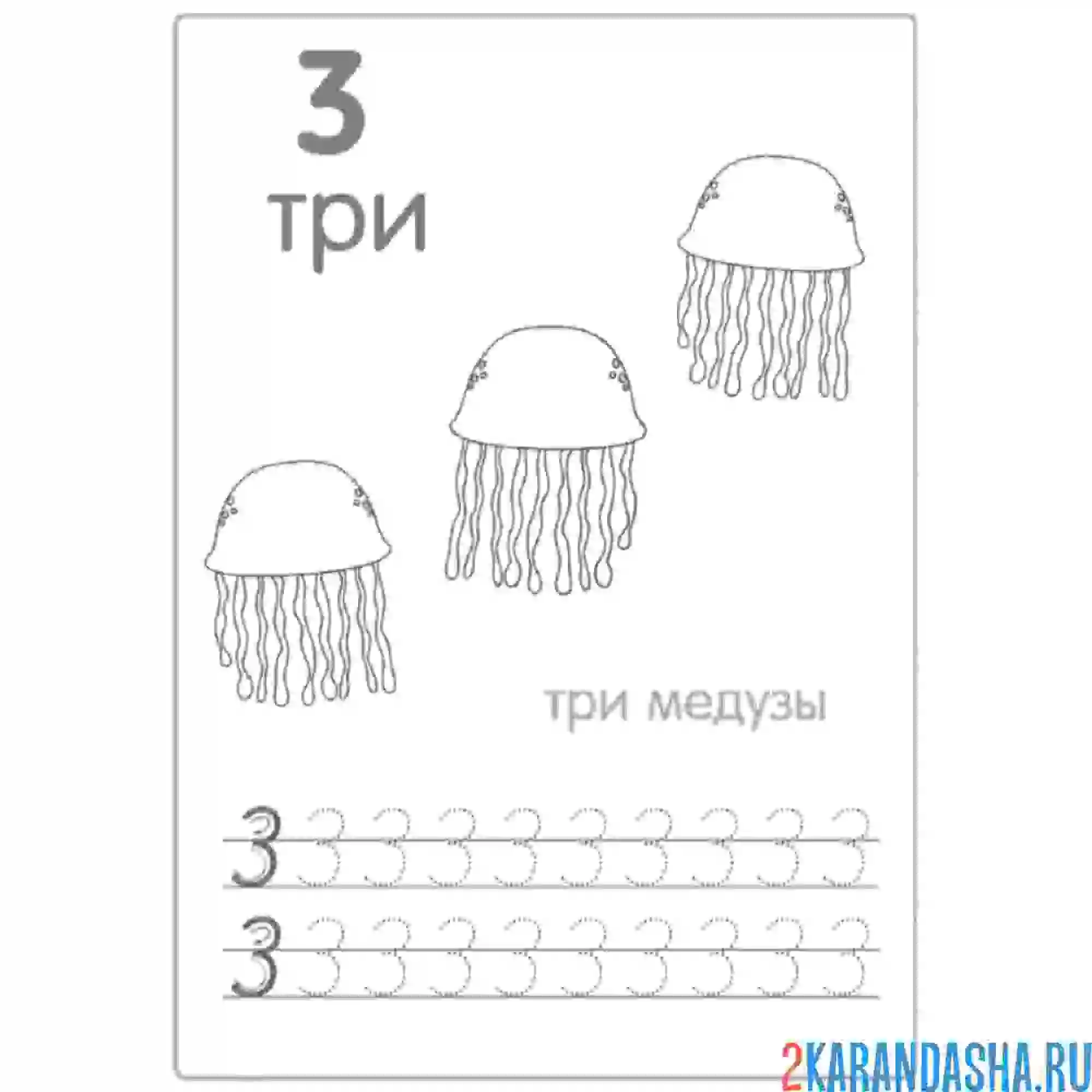 Раскраска пропись цифра 3 по линии