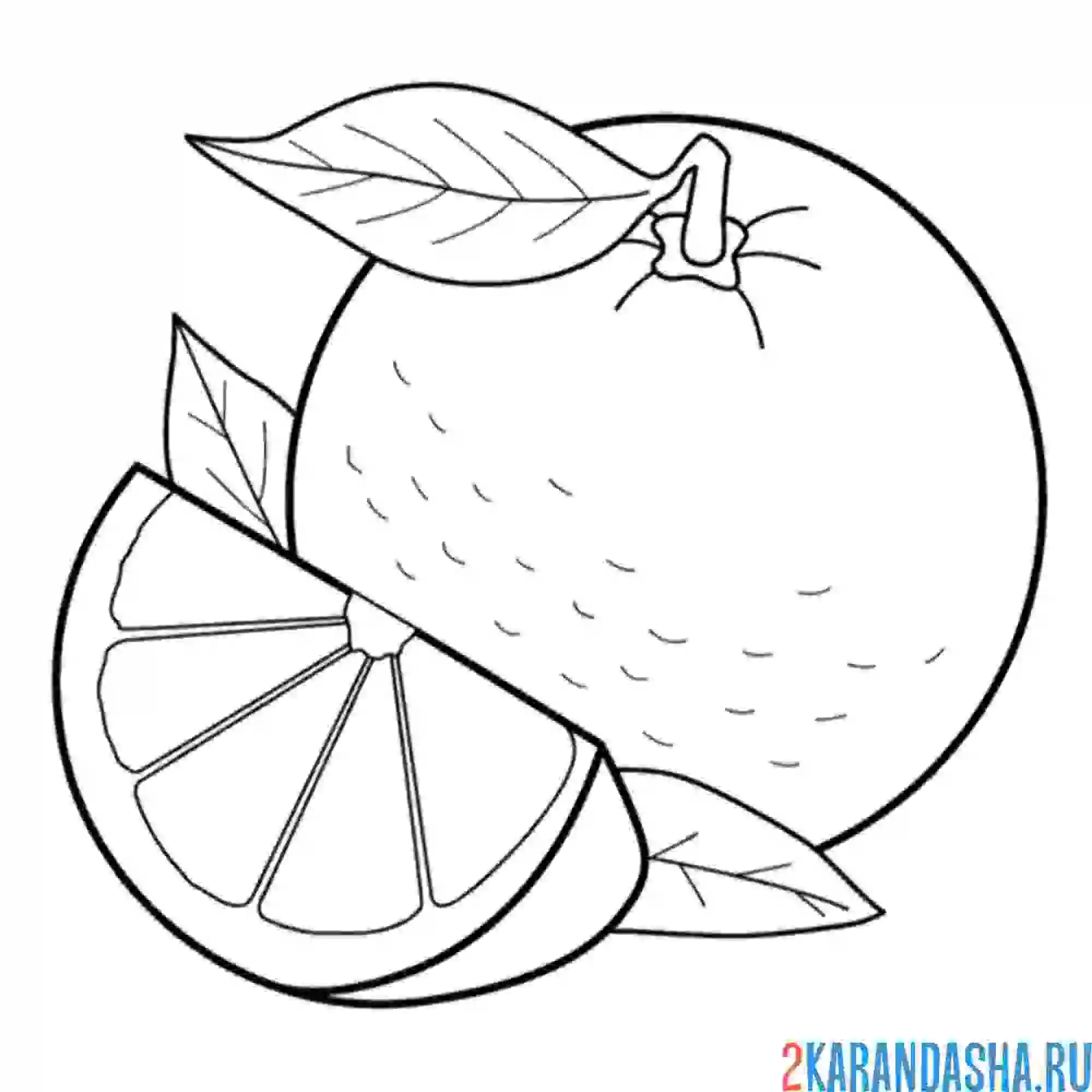 Раскраска сочный апельсин