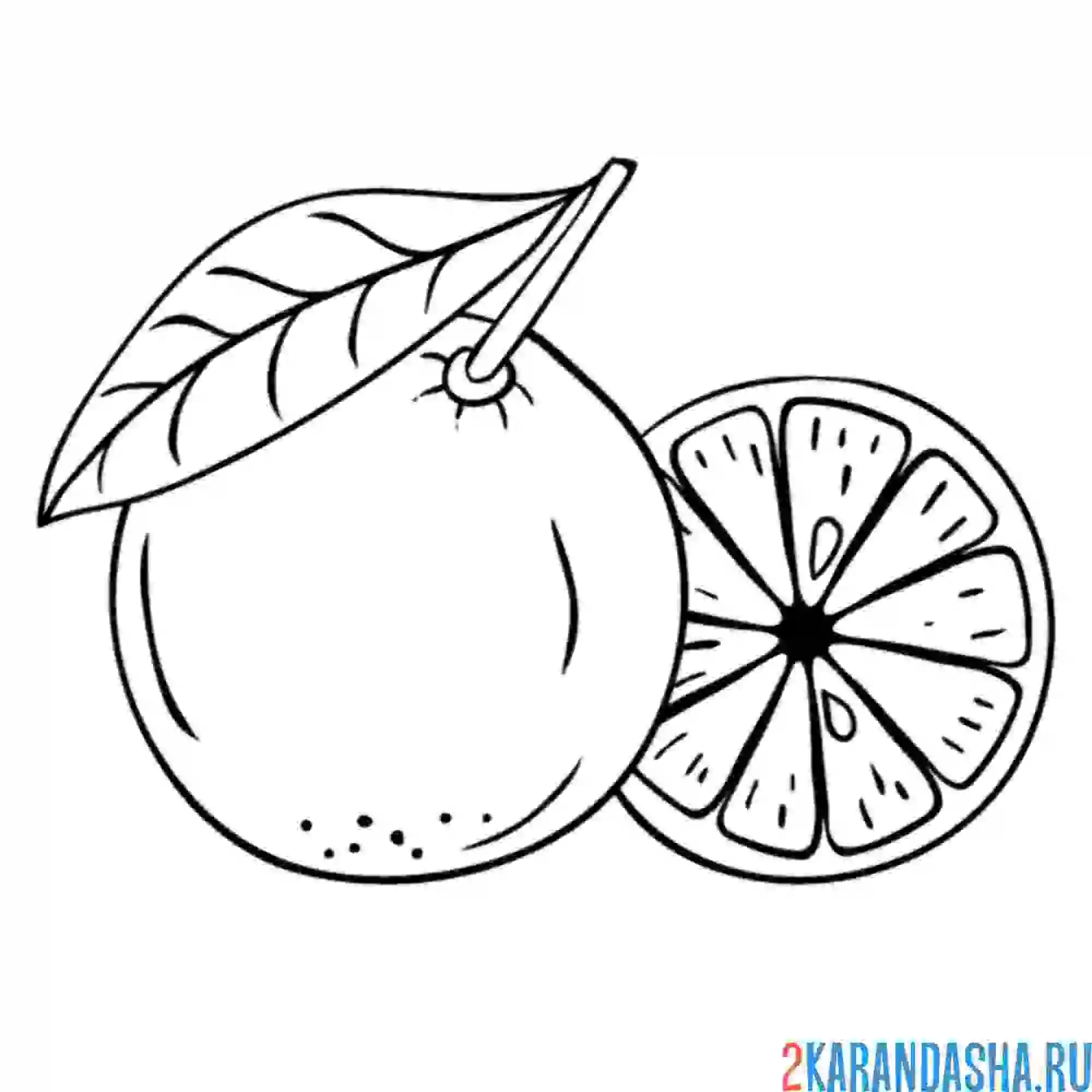 Раскраска свежий апельсин