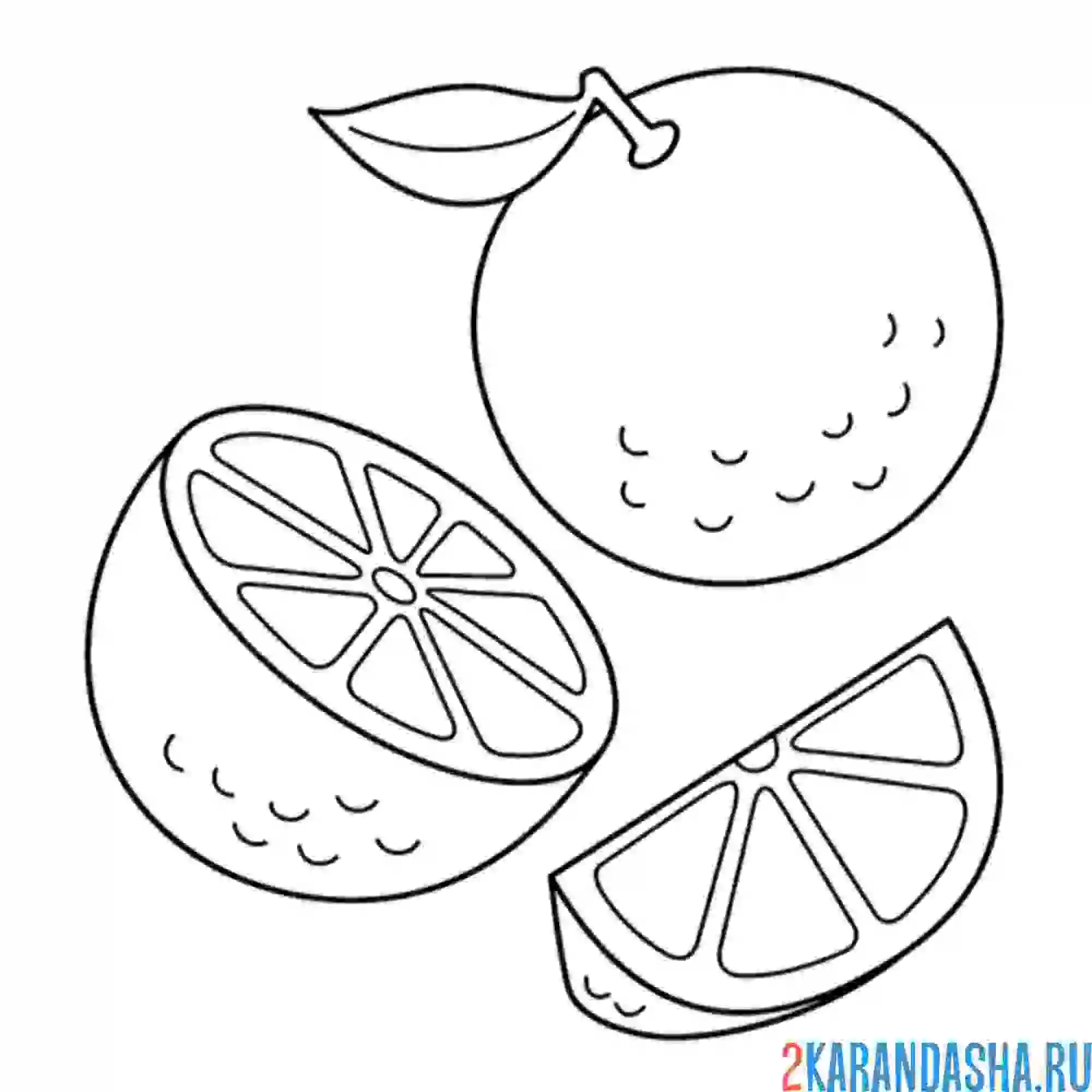 Раскраска апельсин на столе