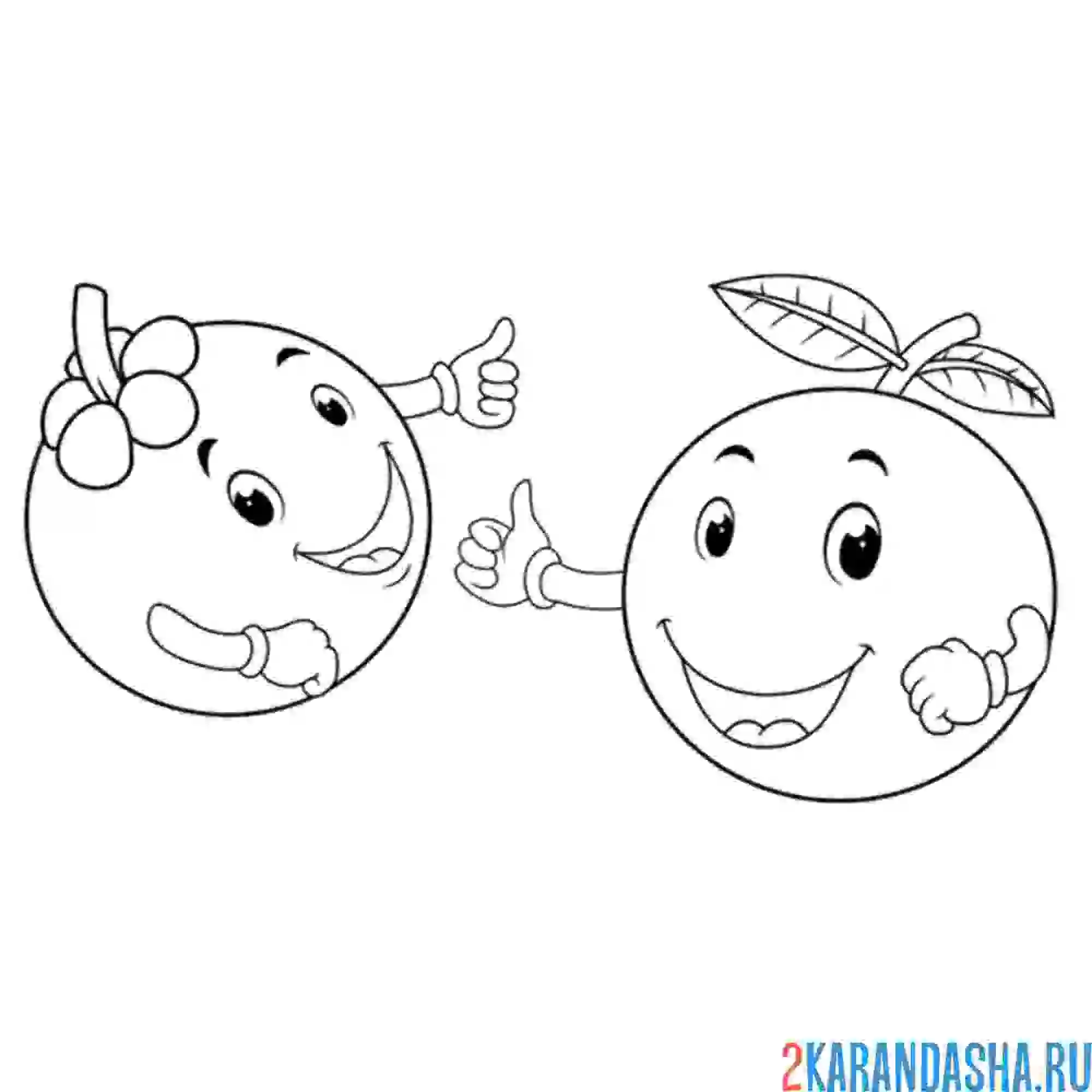 Раскраска апельсин и фрукт