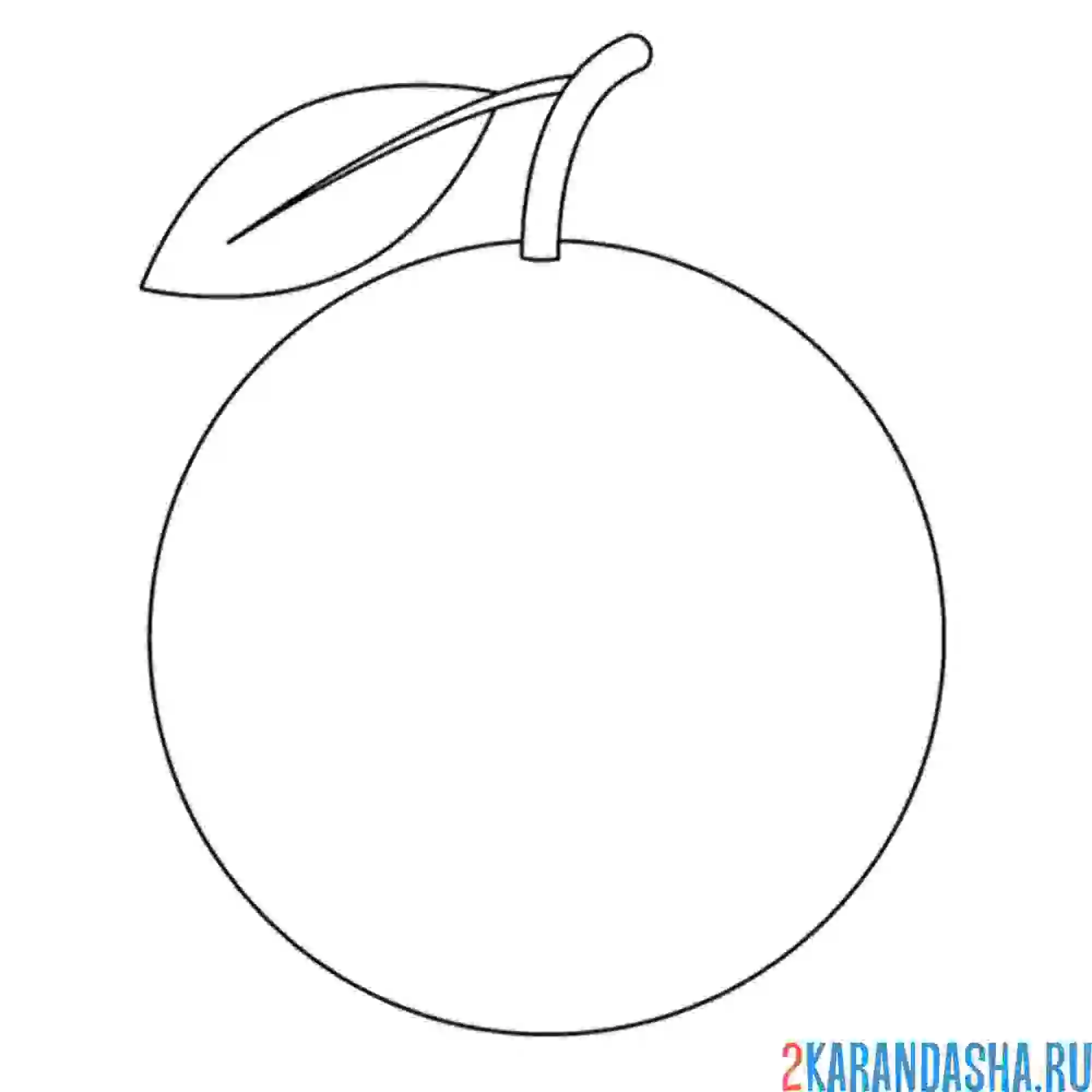 Раскраска простой апельсин
