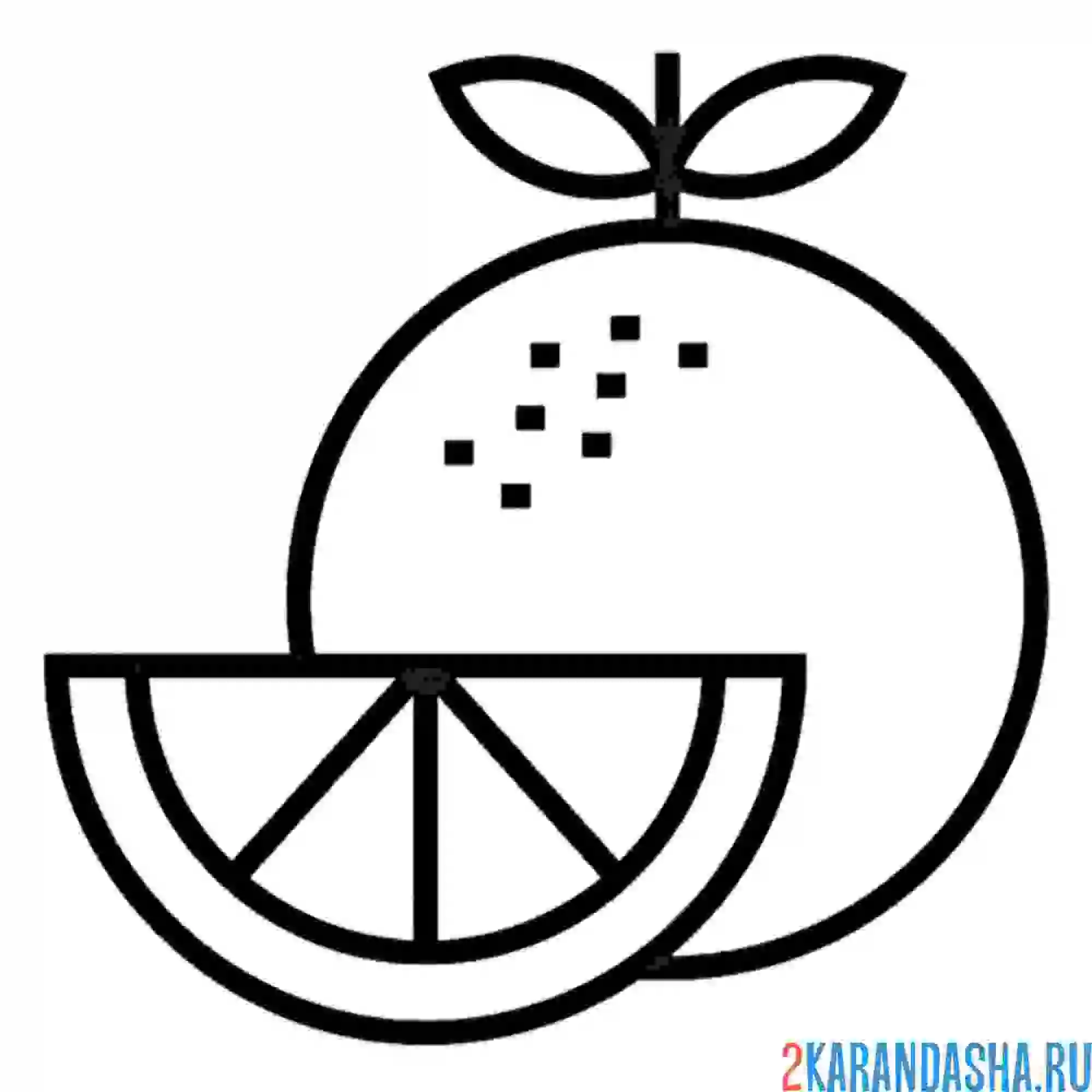 Раскраска апельсин и долька