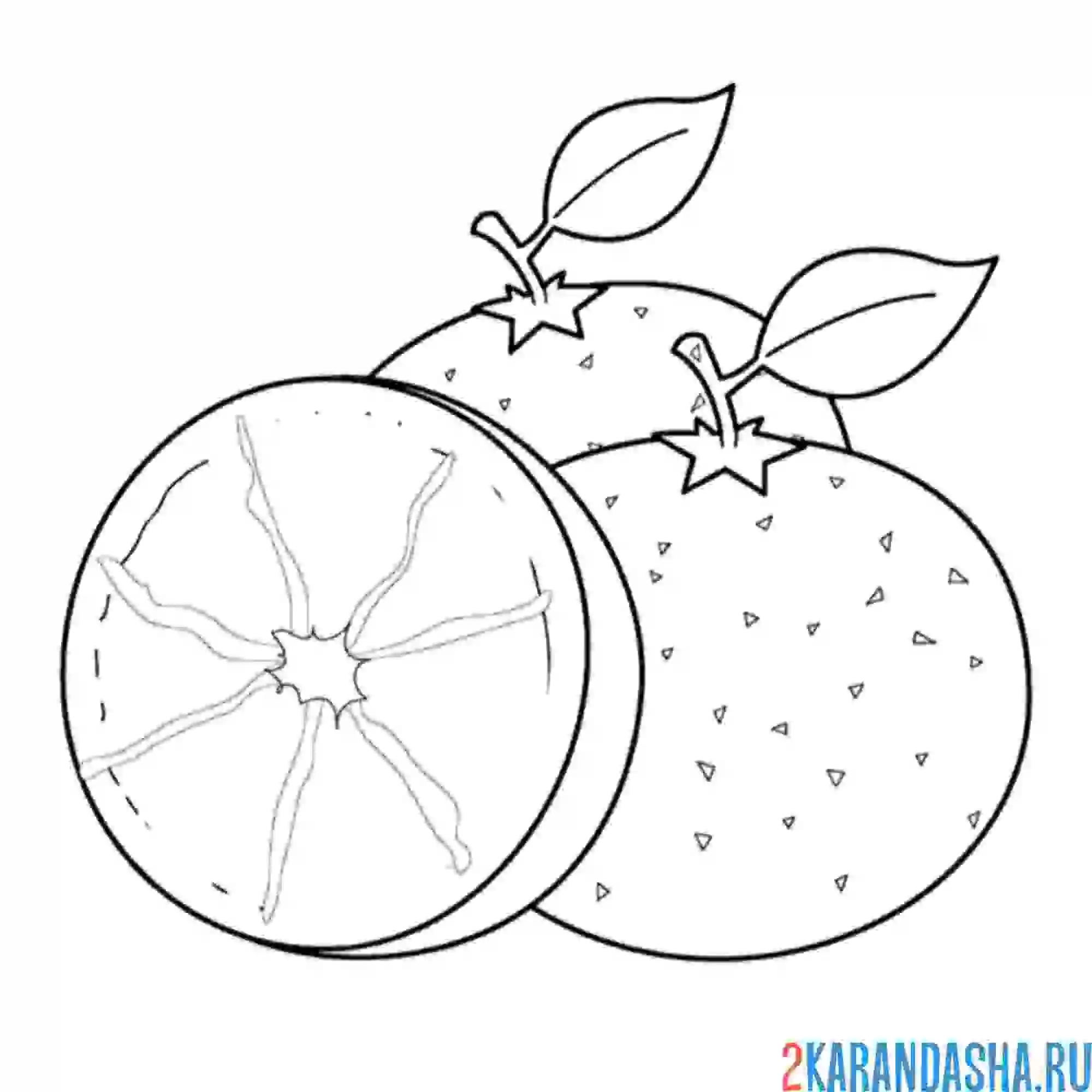 Раскраска три апельсина и половинка