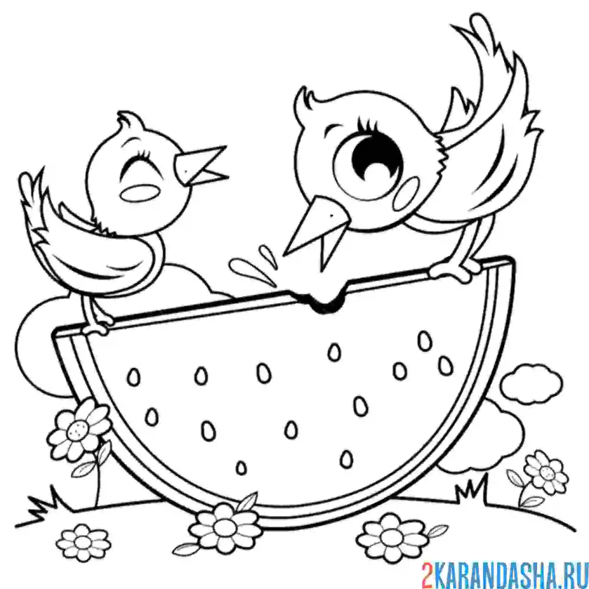 Раскраска птички едят арбуз