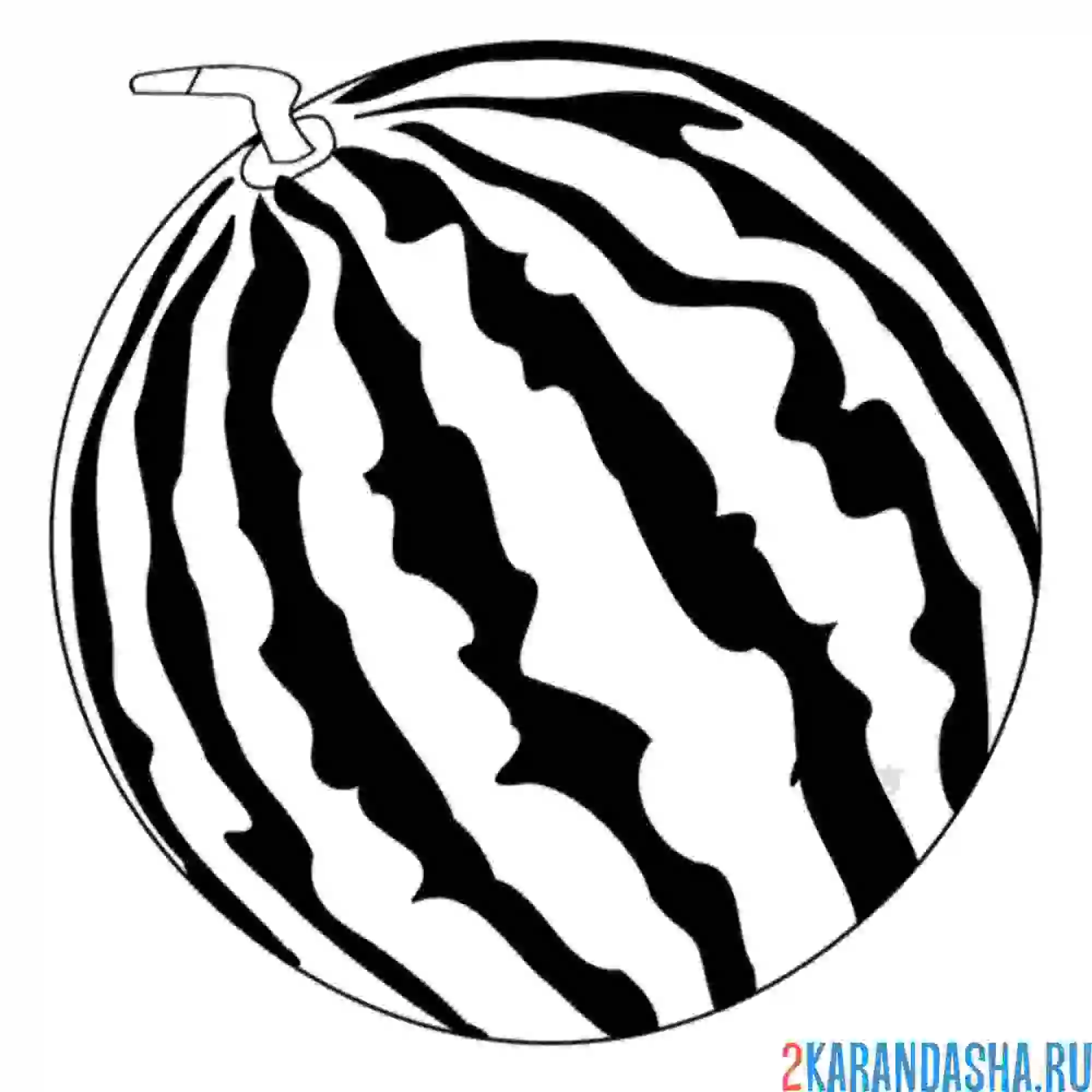 Раскраска арбуз фото