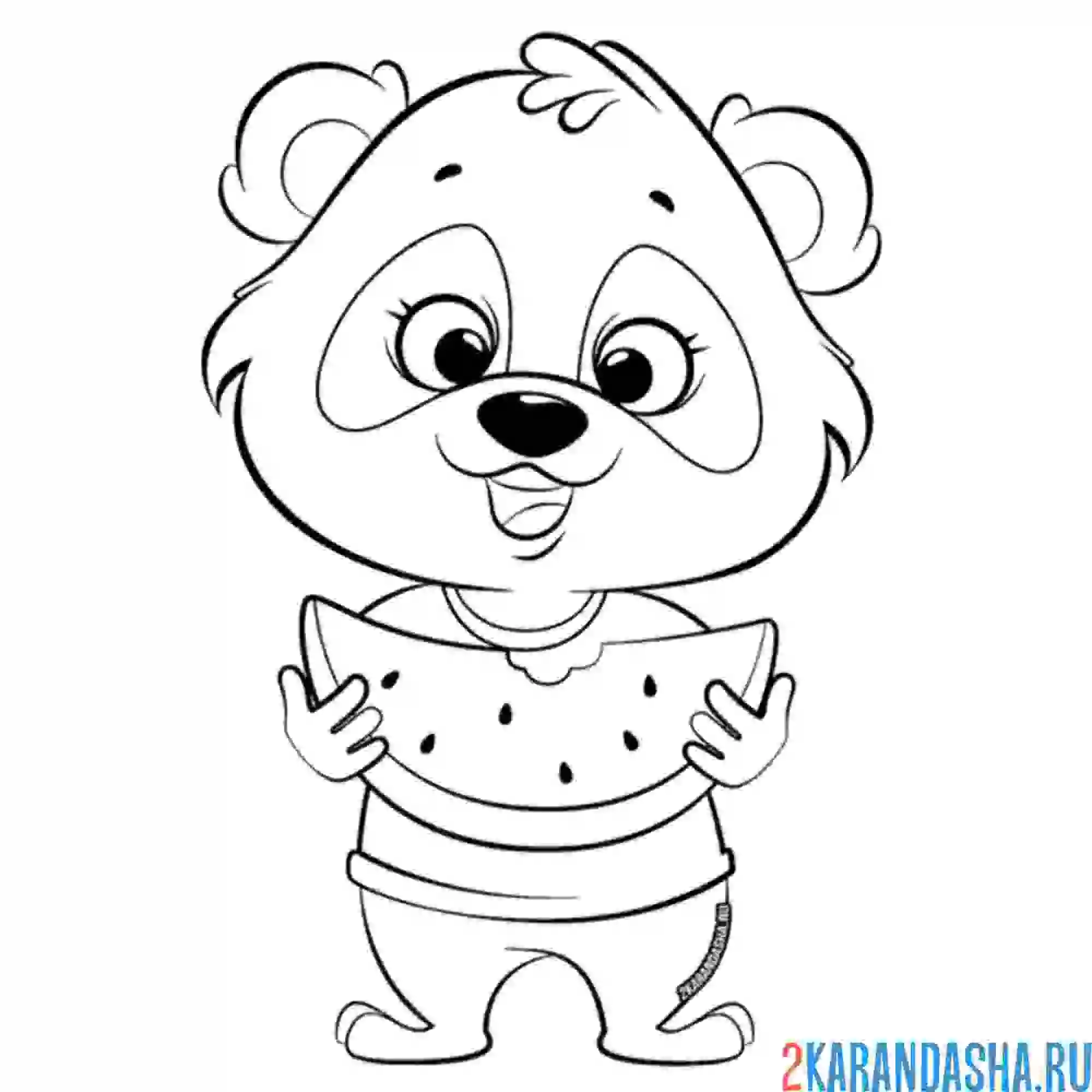 Раскраска мишка ест арбуз