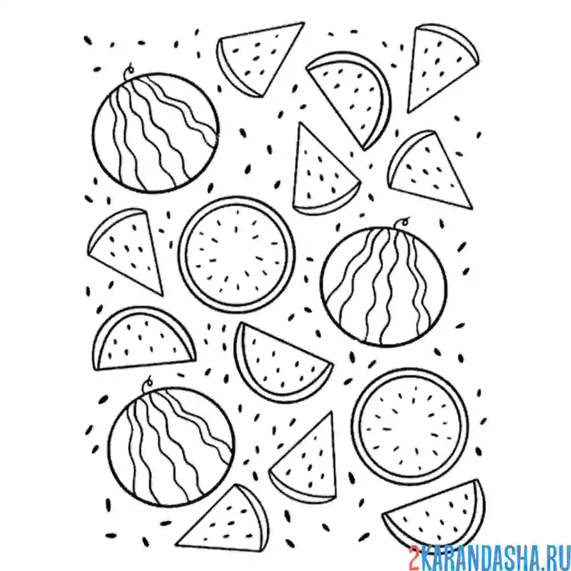 Раскраска фоновая картинка арбуз