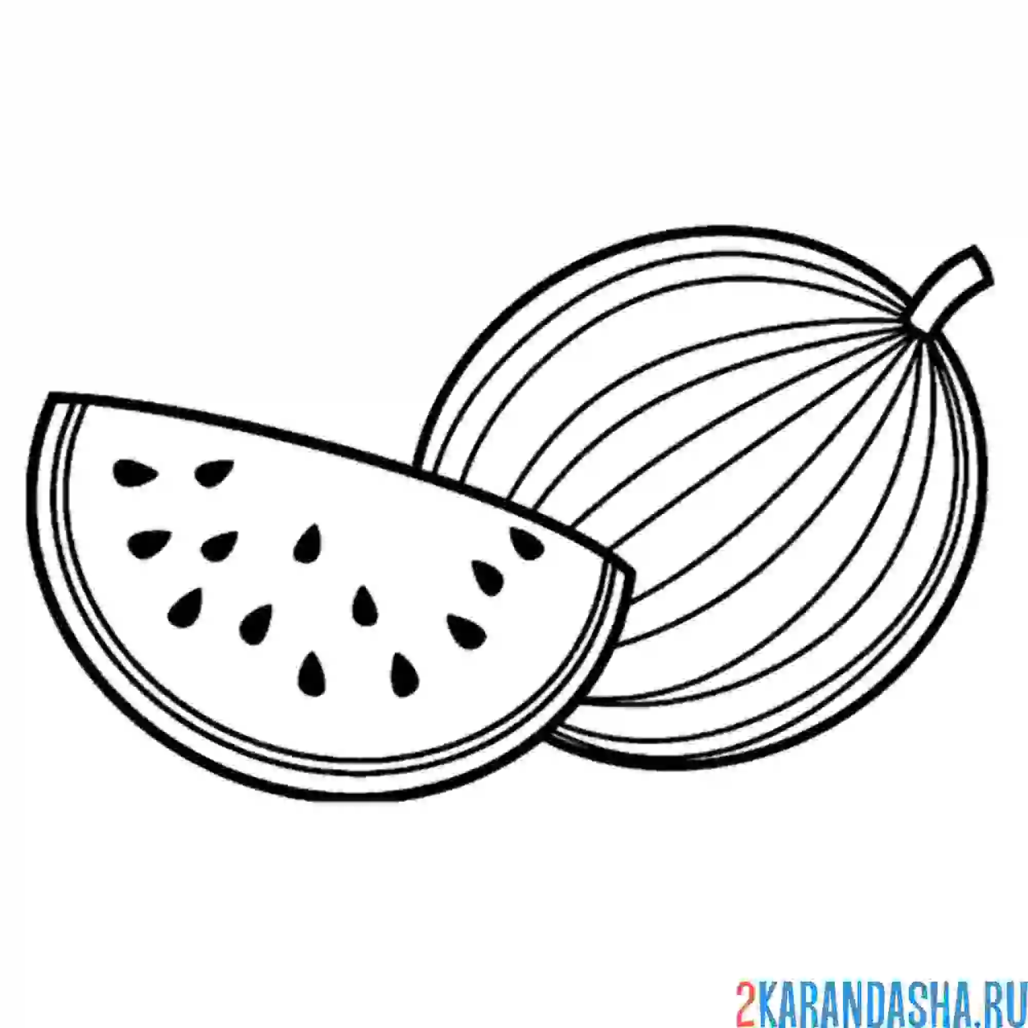 Раскраска арбуз с кусочком