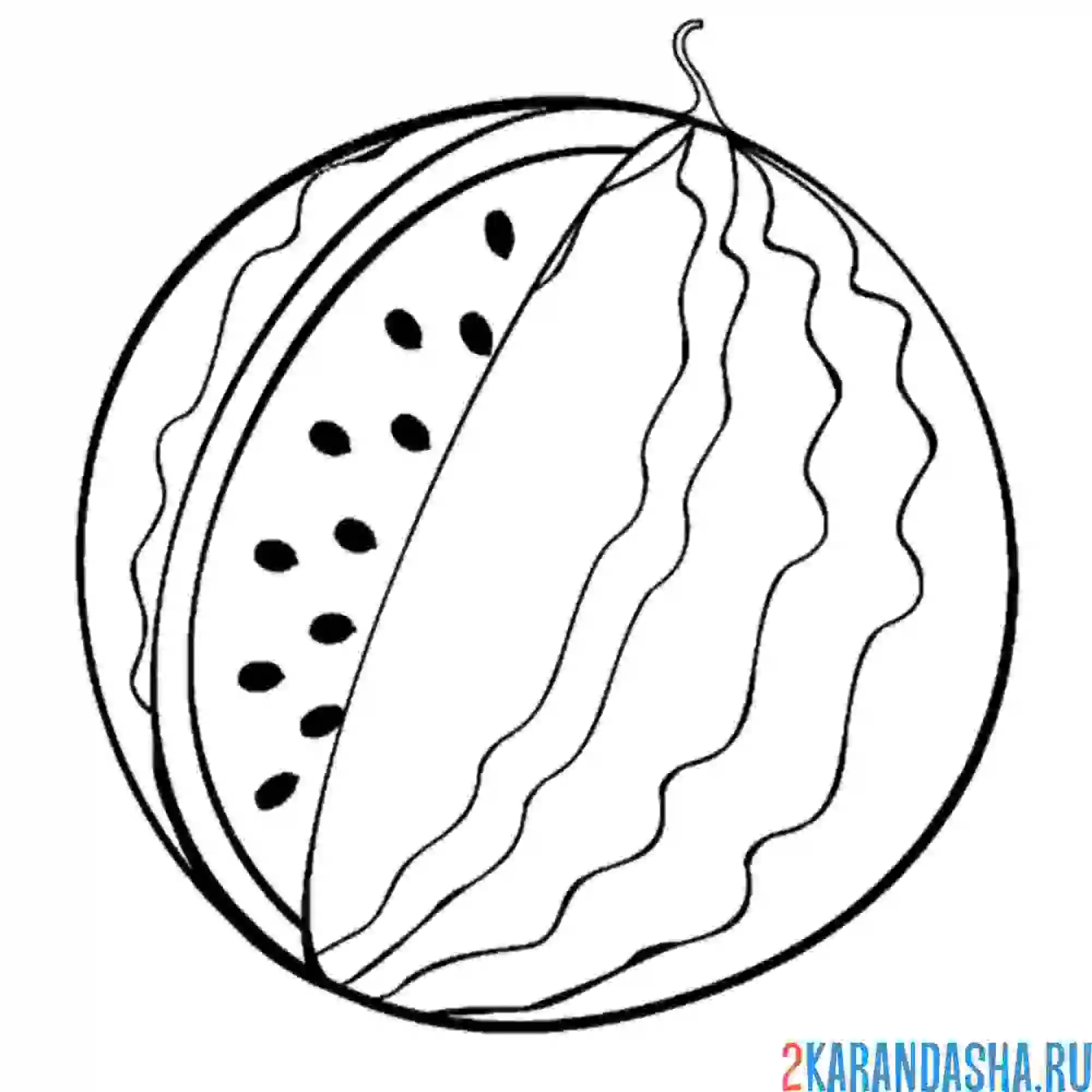 Раскраска арбуз без куска