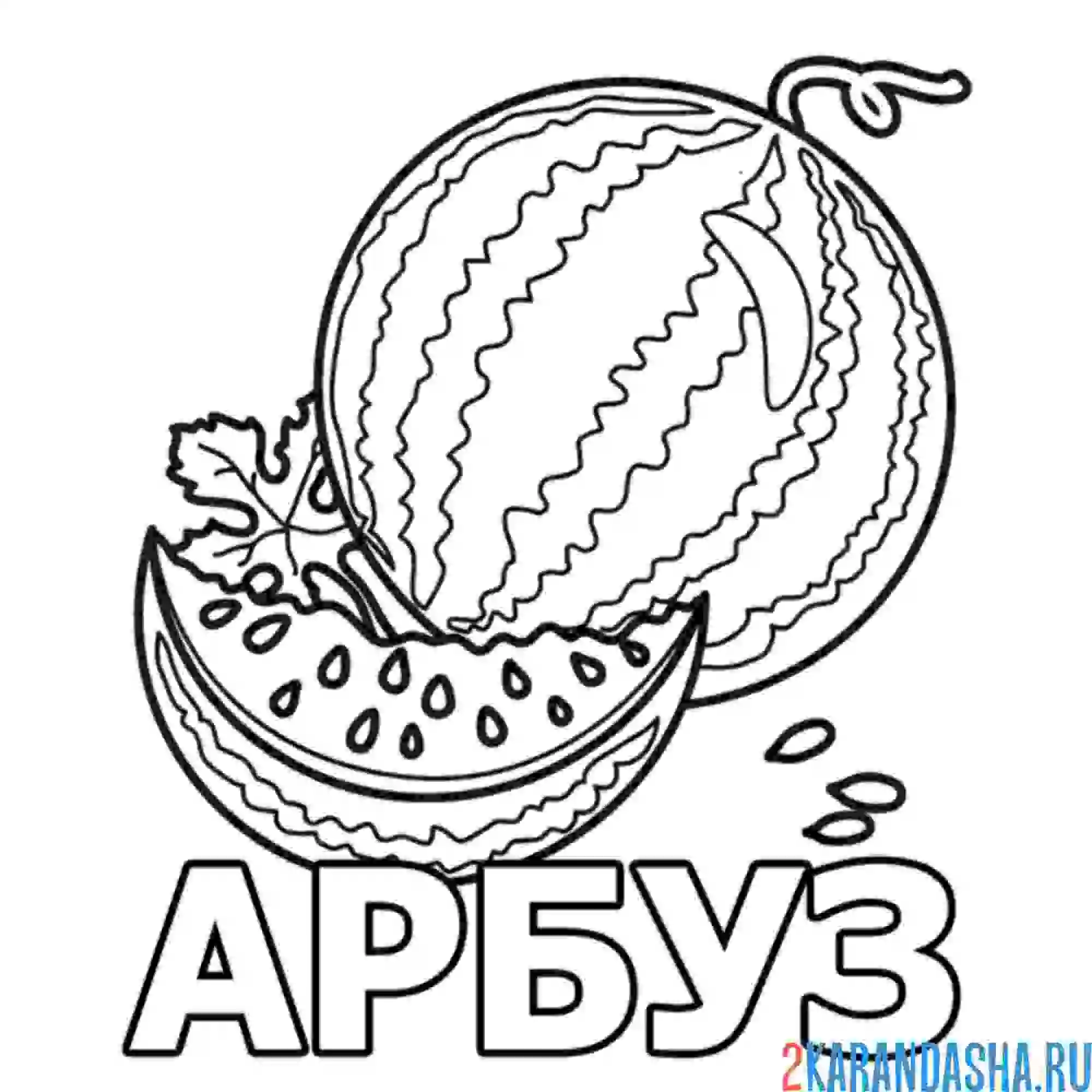 Раскраска арбуз слово