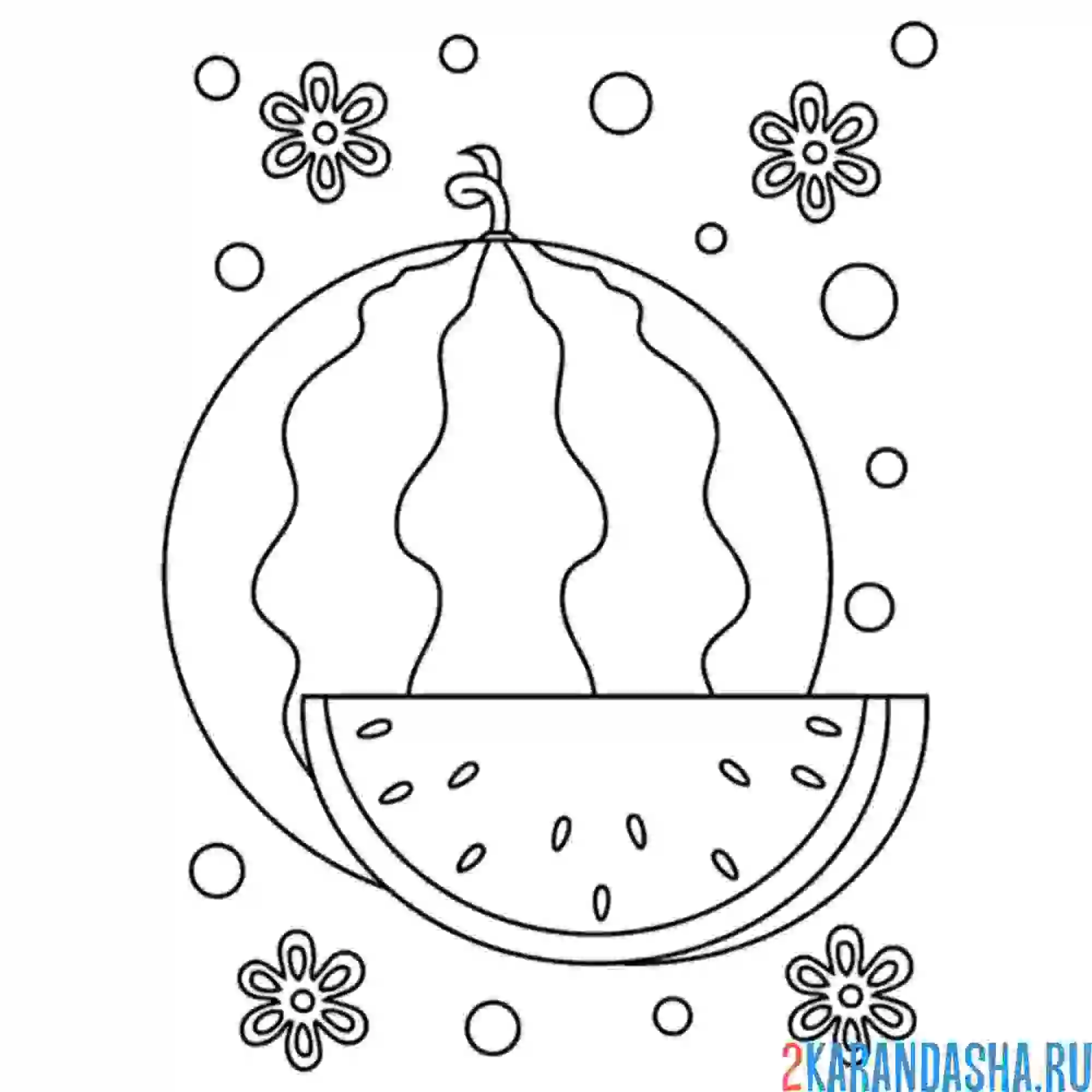 Раскраска целый арбуз и кусочек