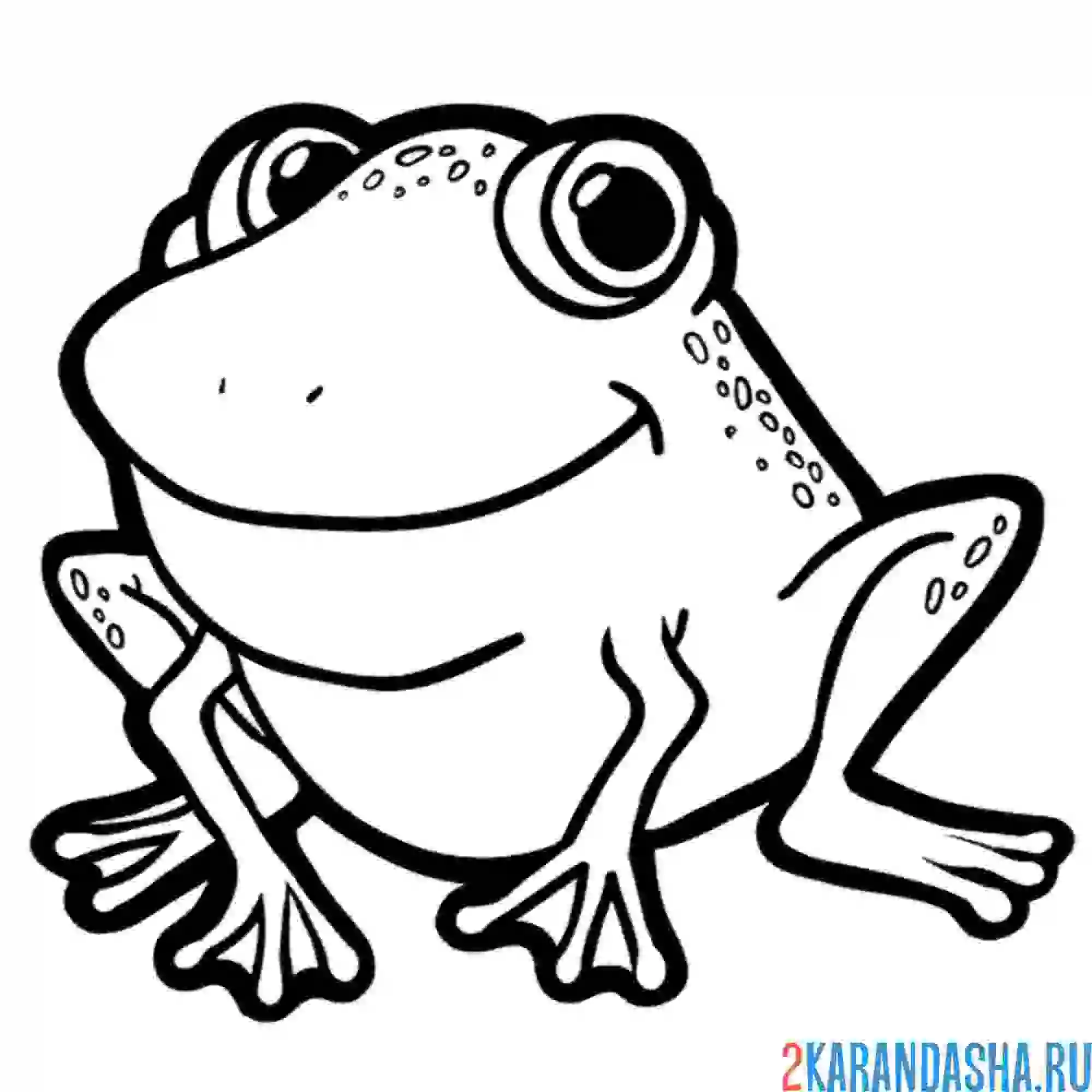 Раскраска лягушка улыбается